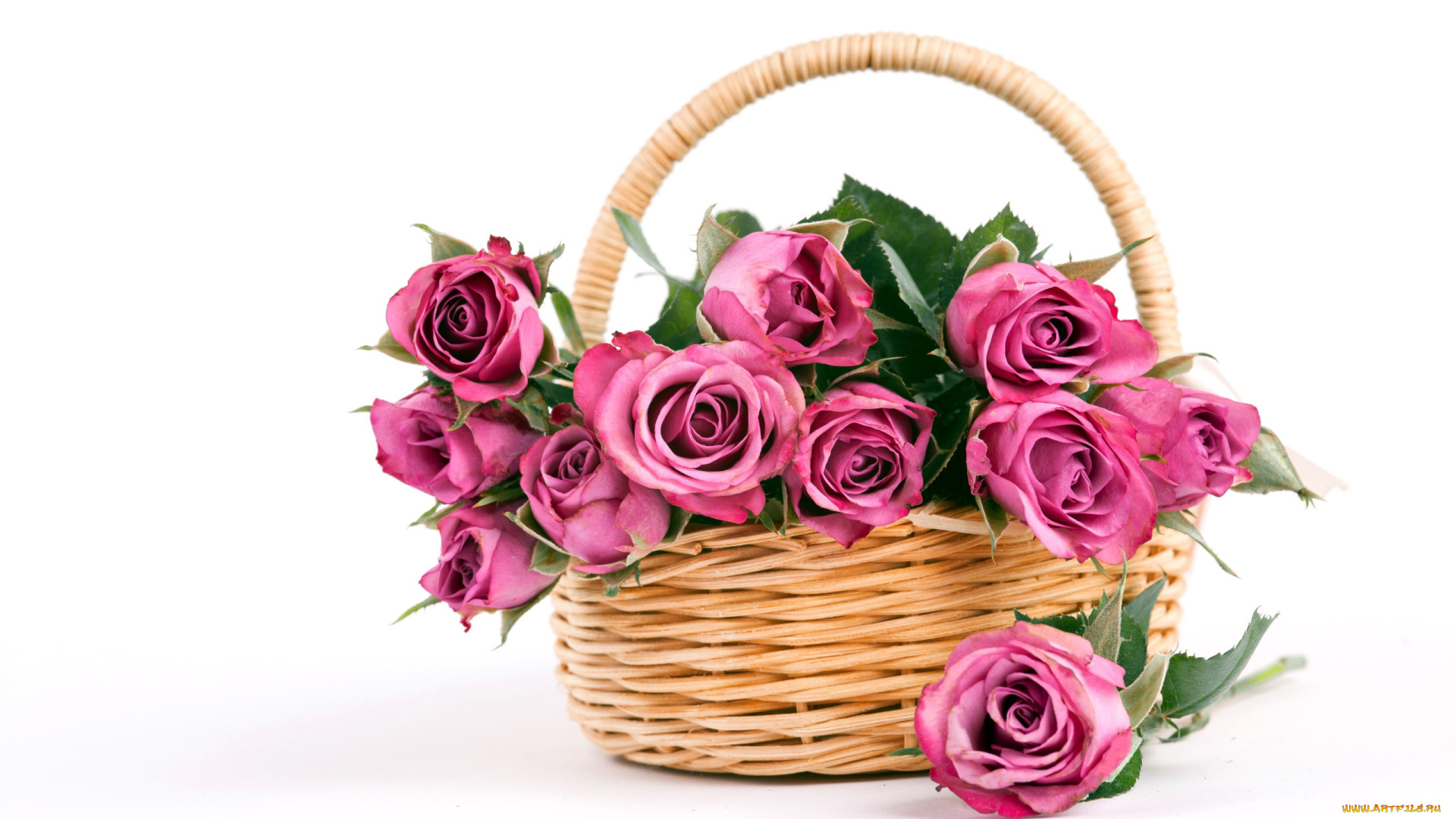 цветы, розы, корзинка, букет