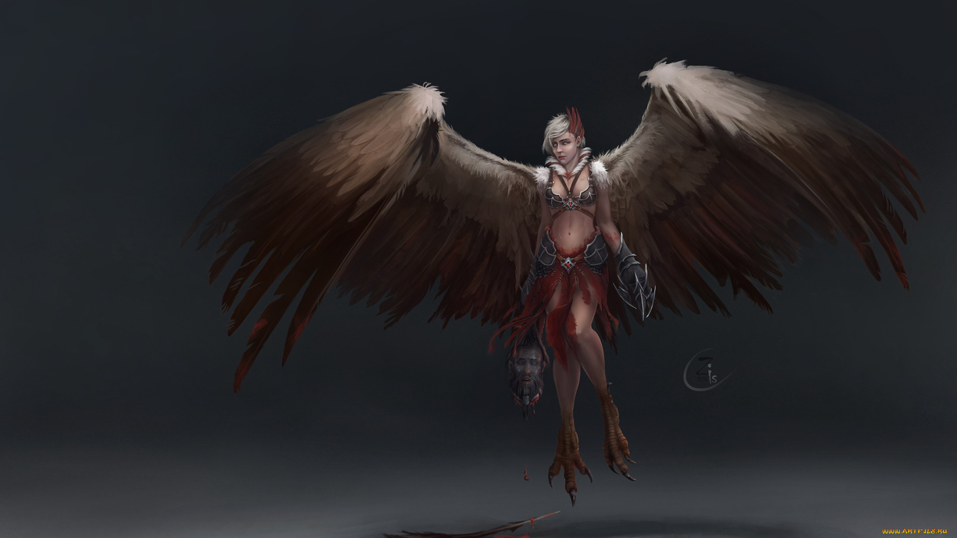 фэнтези, существа, девушка, крылья, голова, гарпия