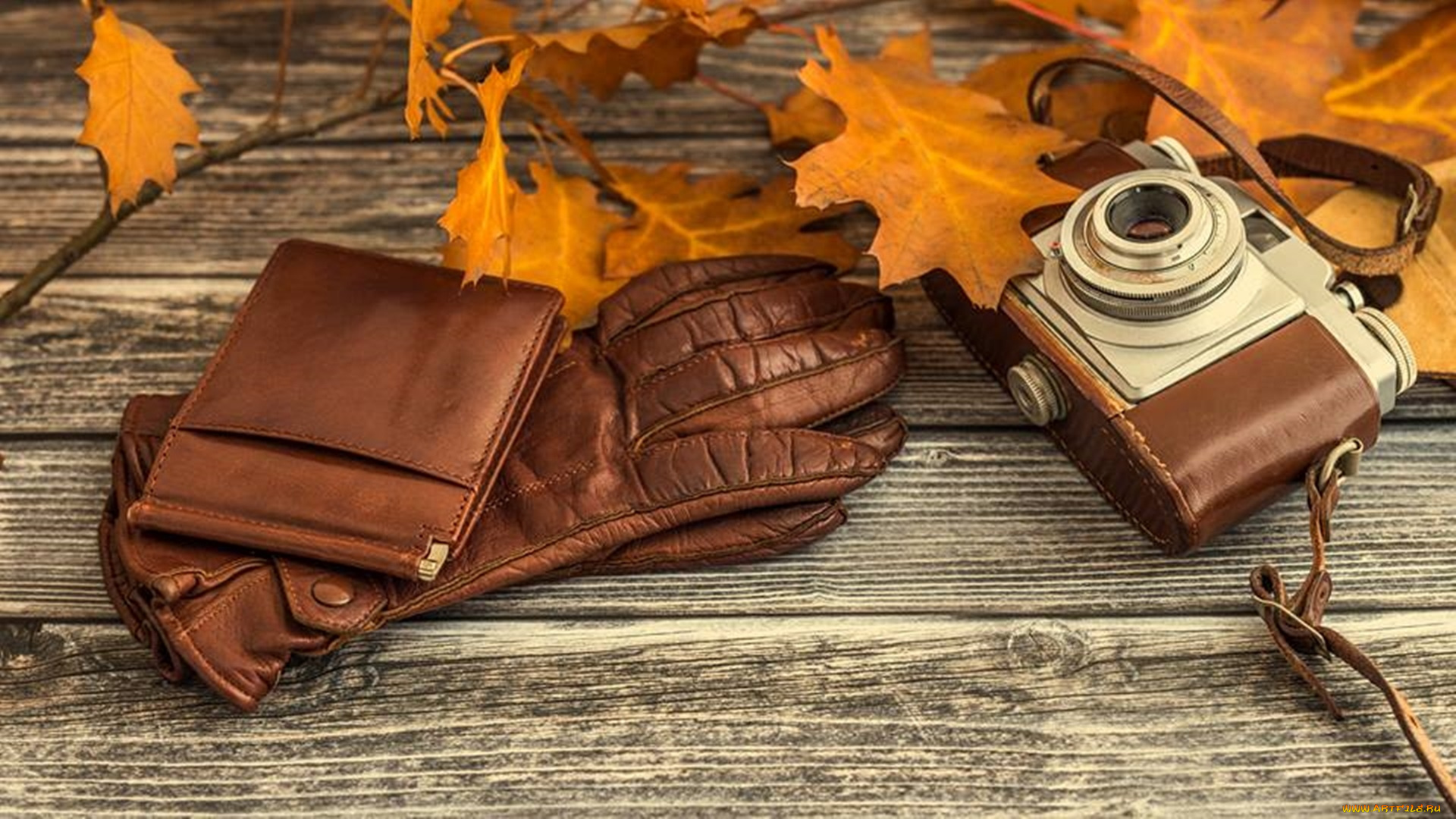 разное, сумки, , кошельки, , зонты, перчатки, портмоне, фотоаппарат