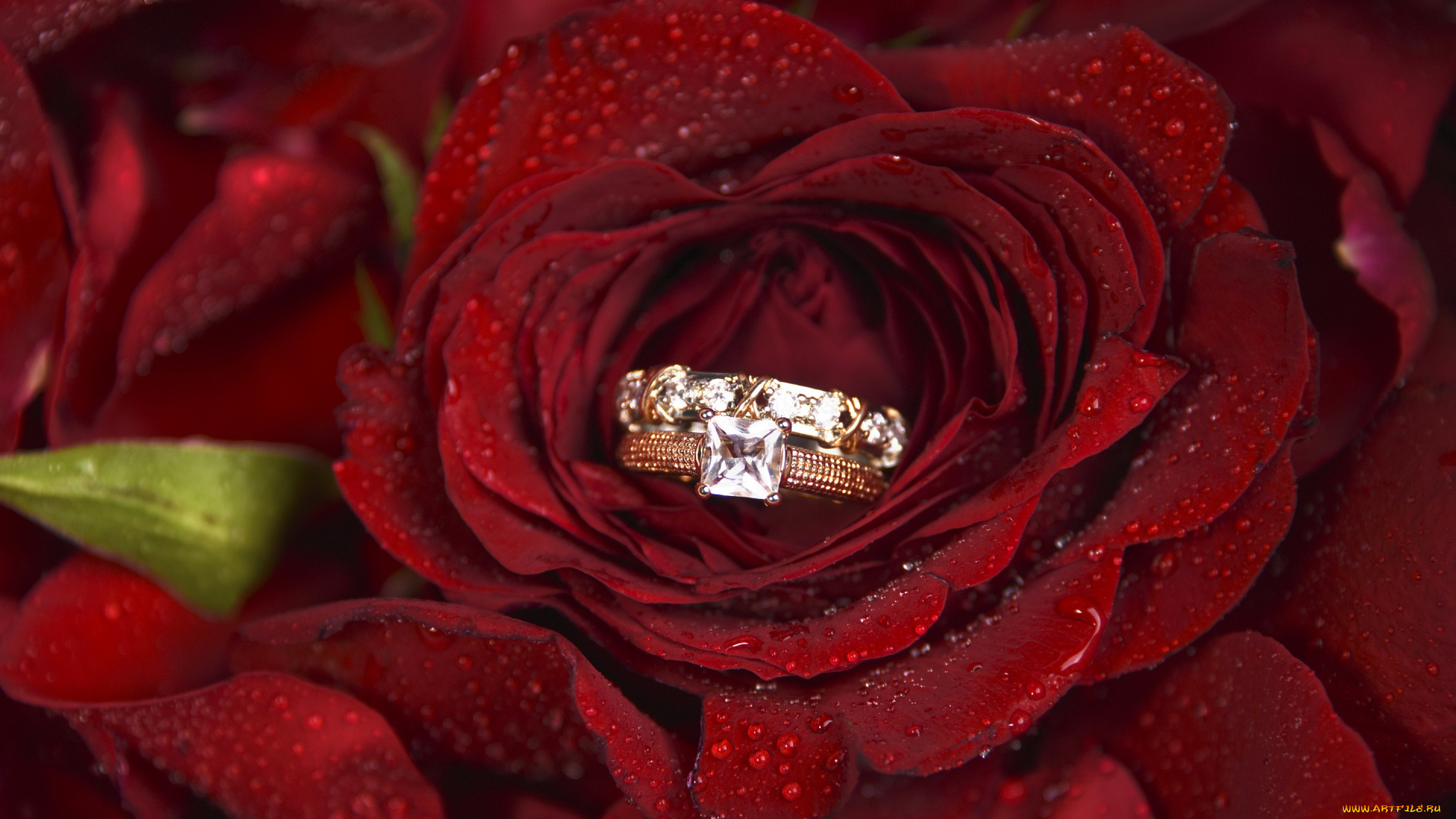 разное, украшения, , аксессуары, , веера, цветок, роза, кольцо