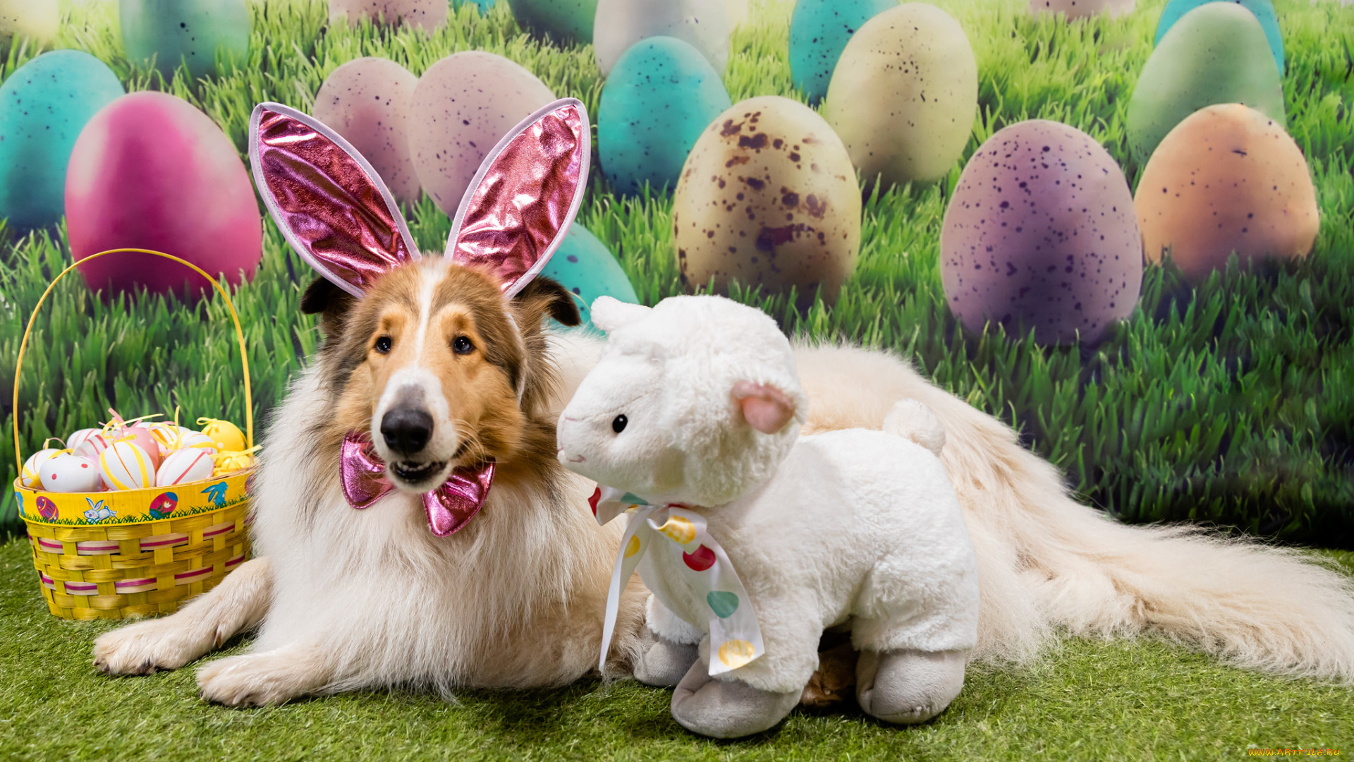 животные, собаки, праздник, игрушка, собака, пасха