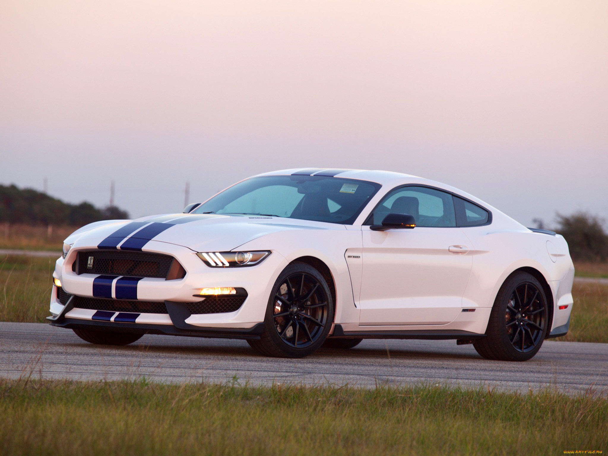 автомобили, mustang