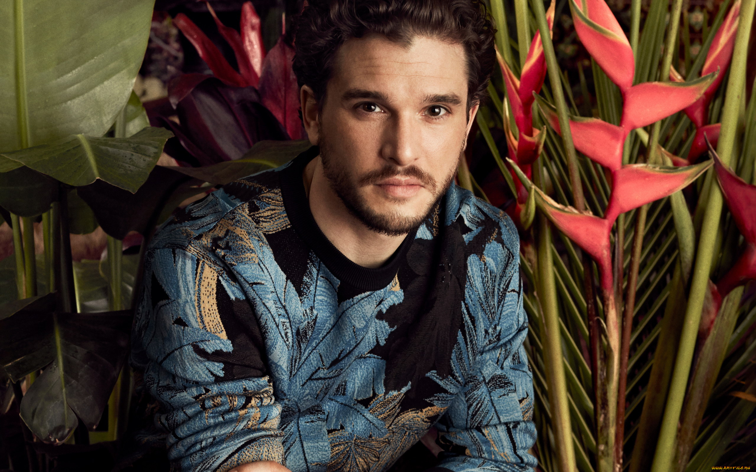 мужчины, kit, harington, kit, harington