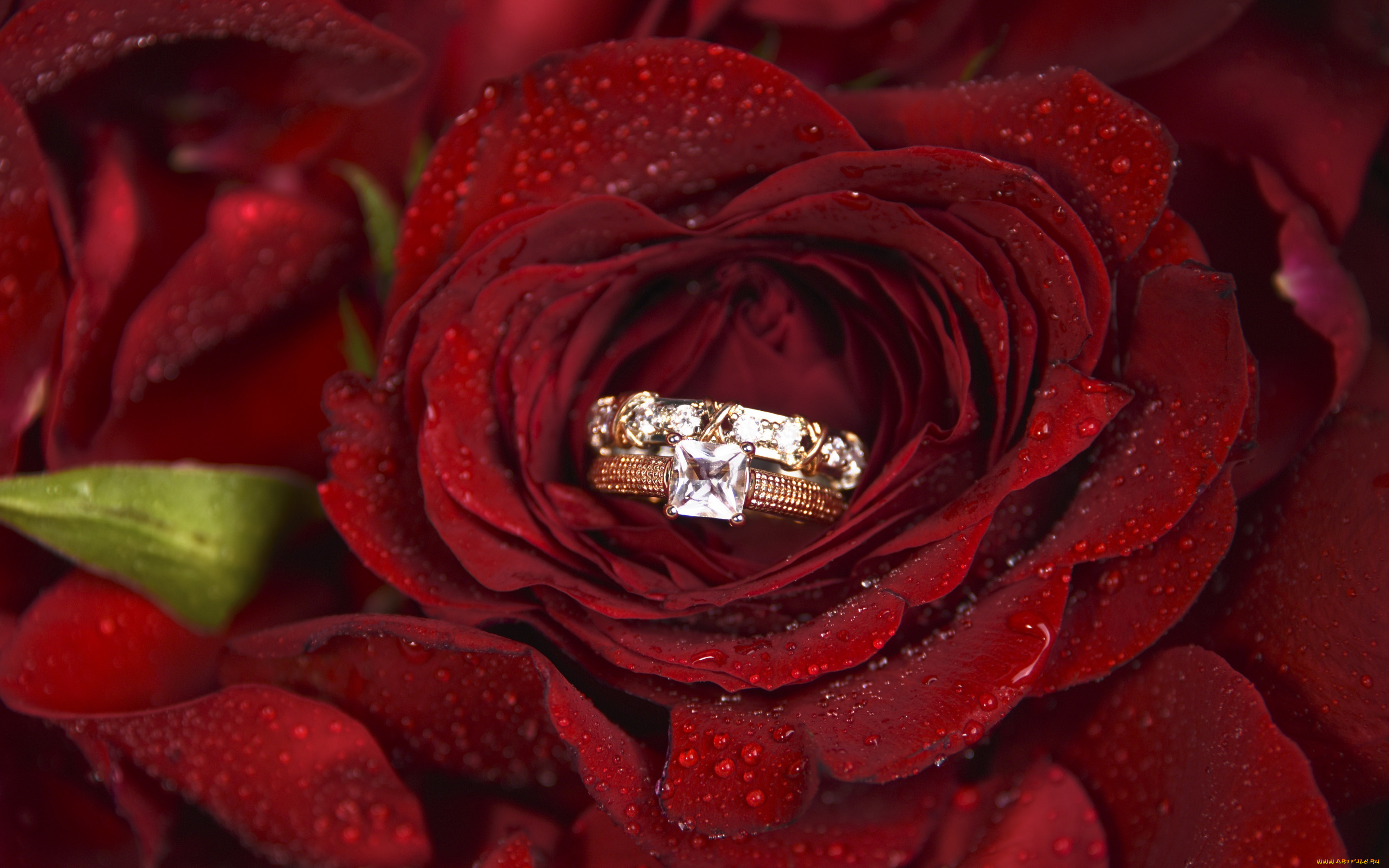 разное, украшения, , аксессуары, , веера, цветок, роза, кольцо