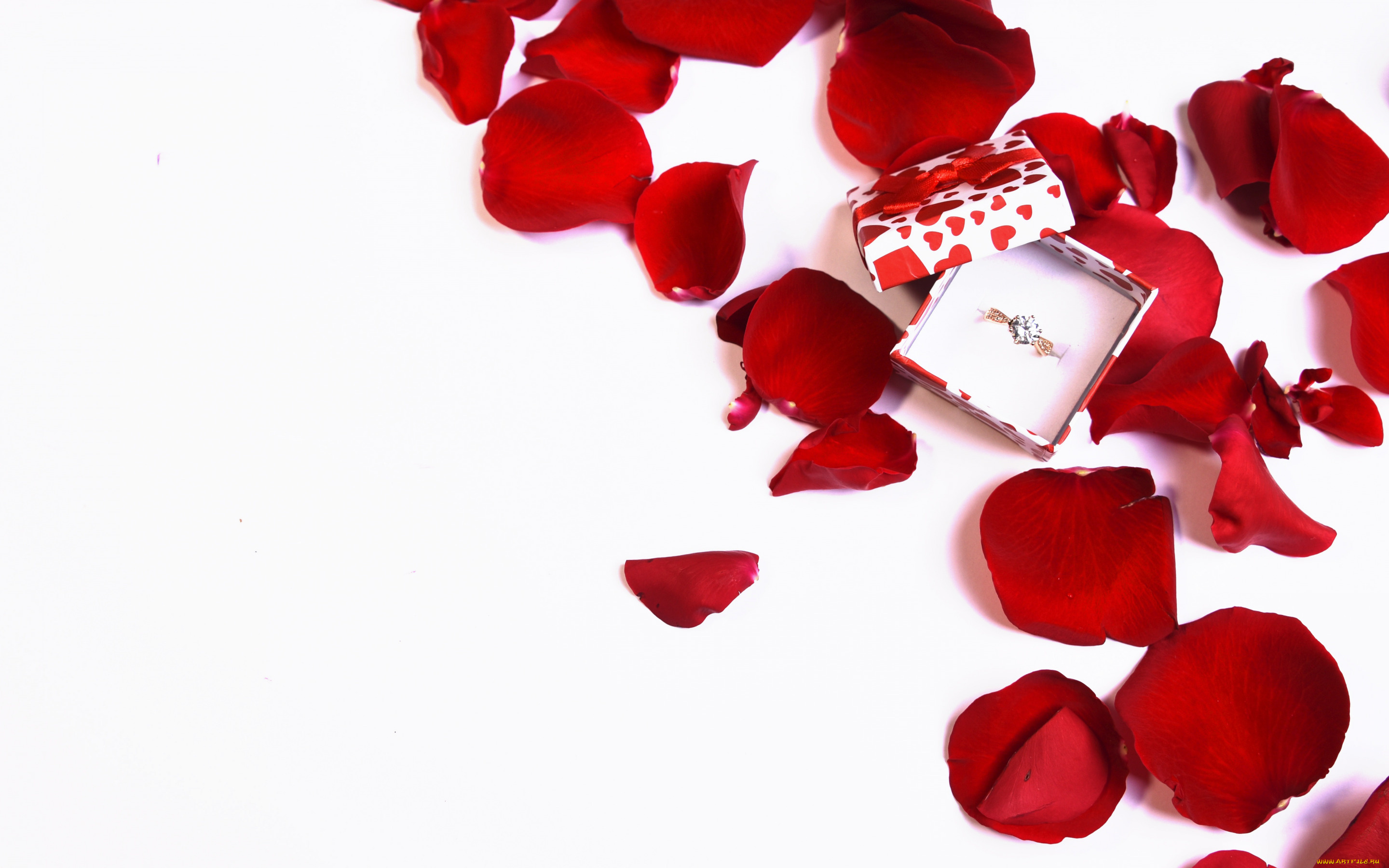 разное, украшения, , аксессуары, , веера, коробка, лепестки, кольцо, предложение