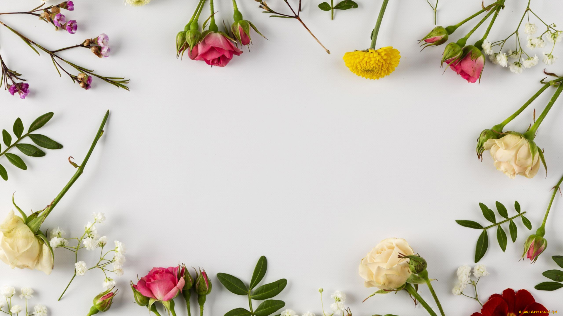 цветы, разные, вместе, розы, гипсофила, бутоны