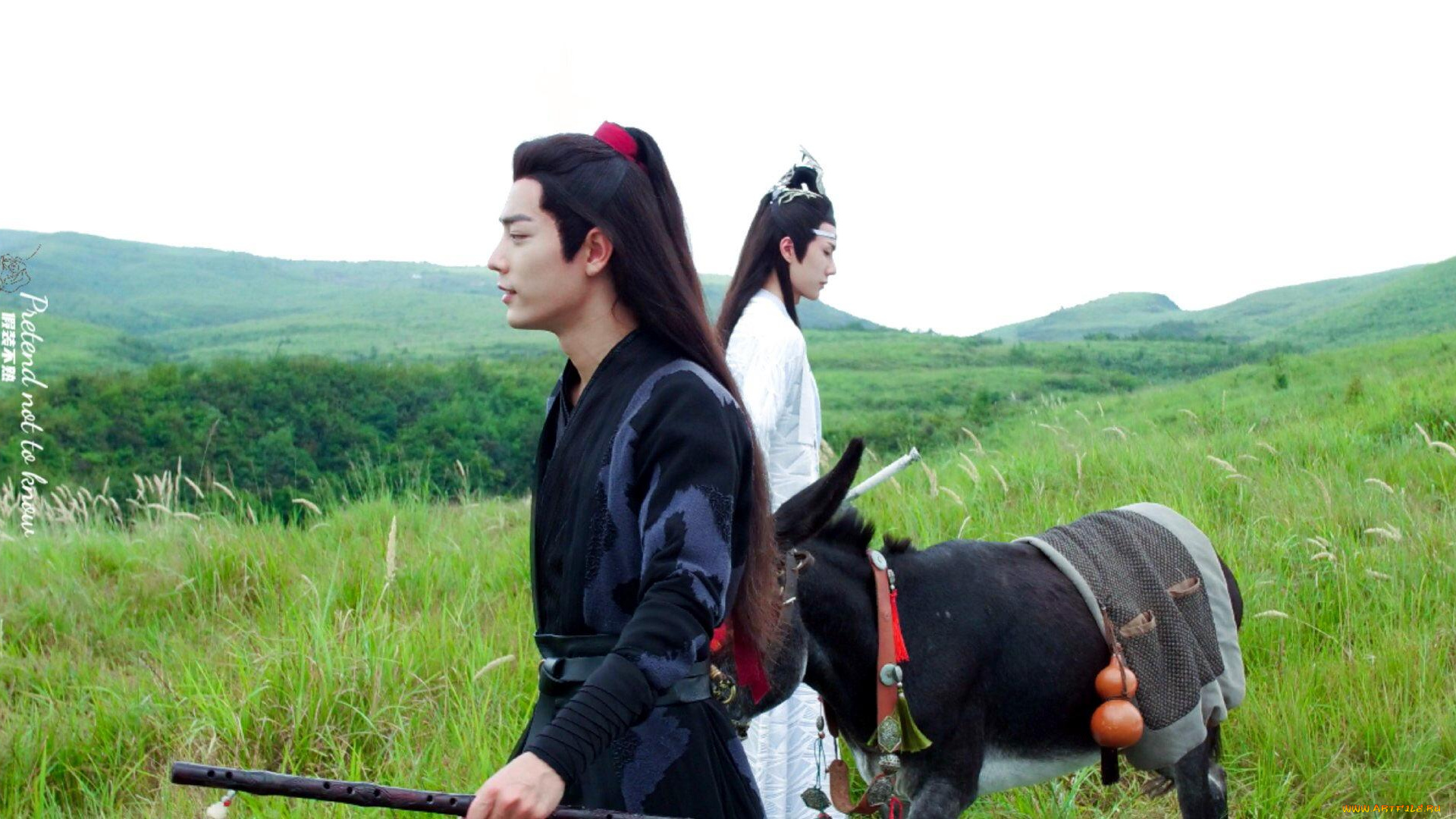 кино, фильмы, the, untamed, вэй, усянь, лань, ванцзы, ослик