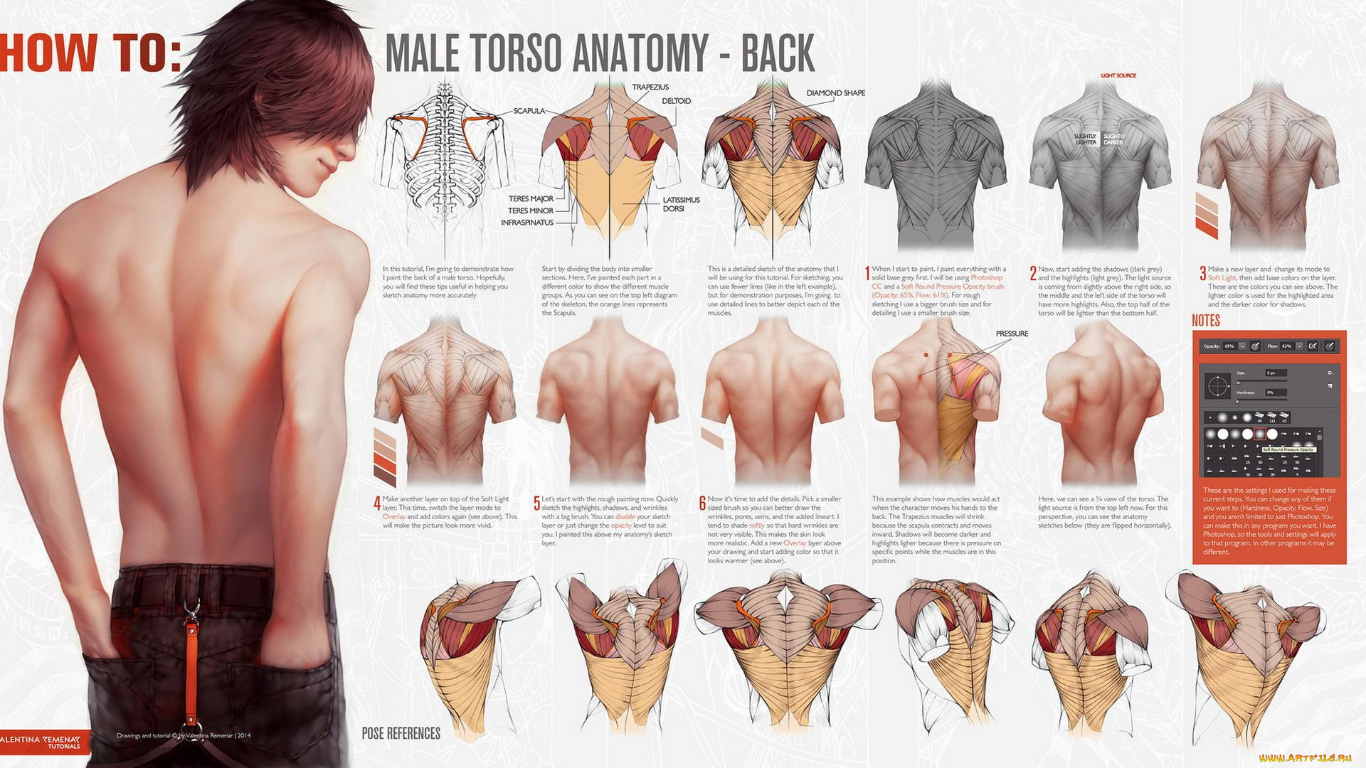 рисованное, valentina, remenar, парень, спина, штаны, торс