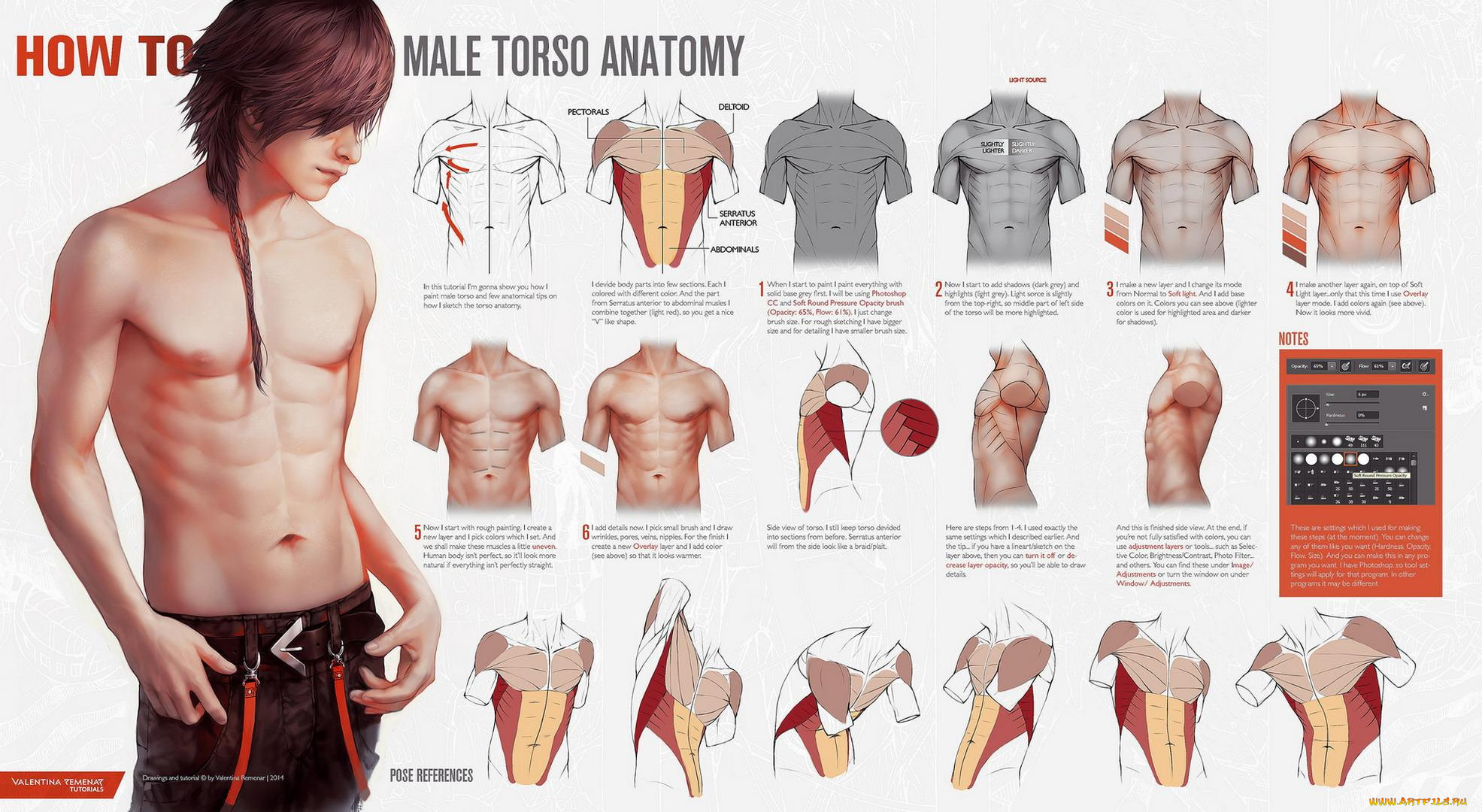 рисованное, valentina, remenar, парень, штаны, торс