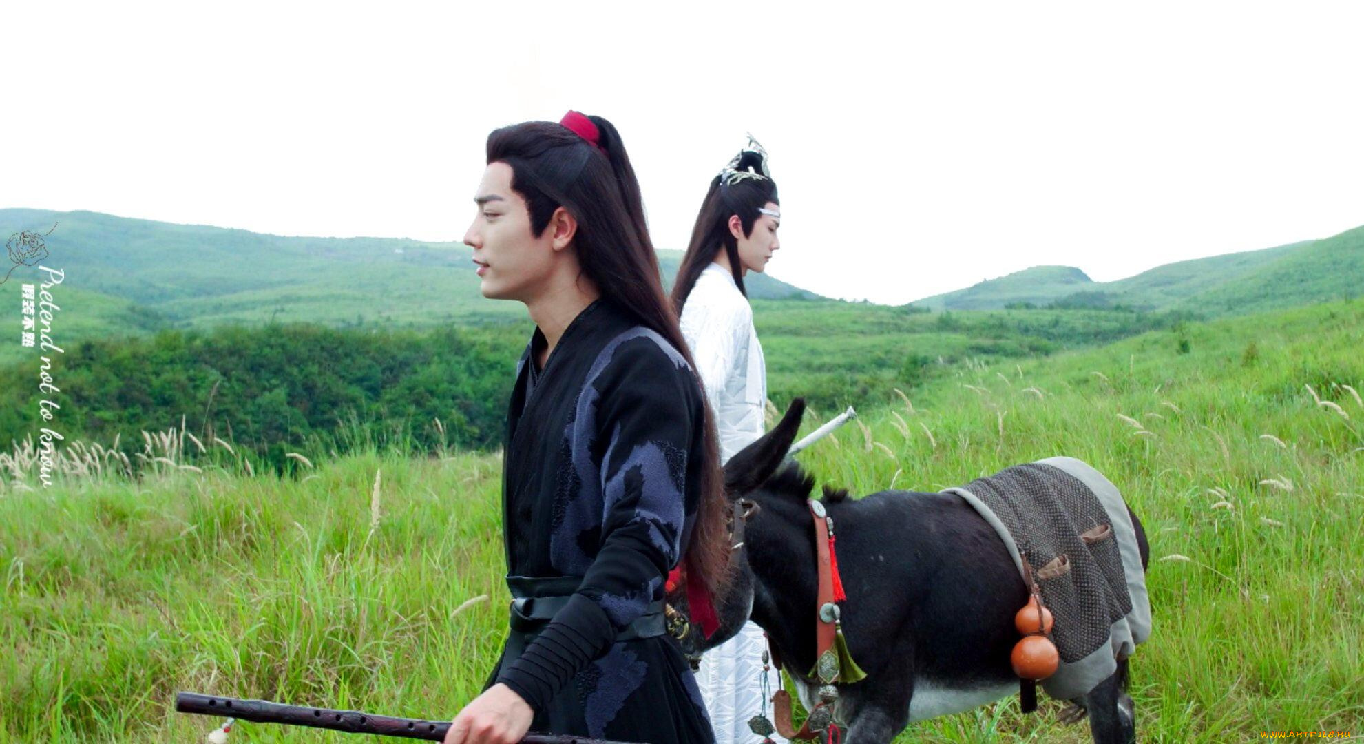 кино, фильмы, the, untamed, вэй, усянь, лань, ванцзы, ослик