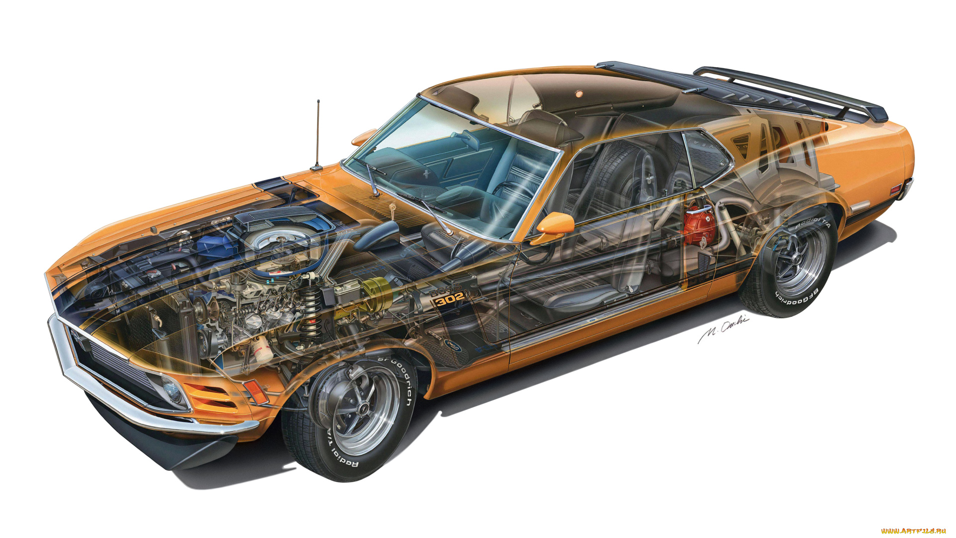 автомобили, рентген, mustang