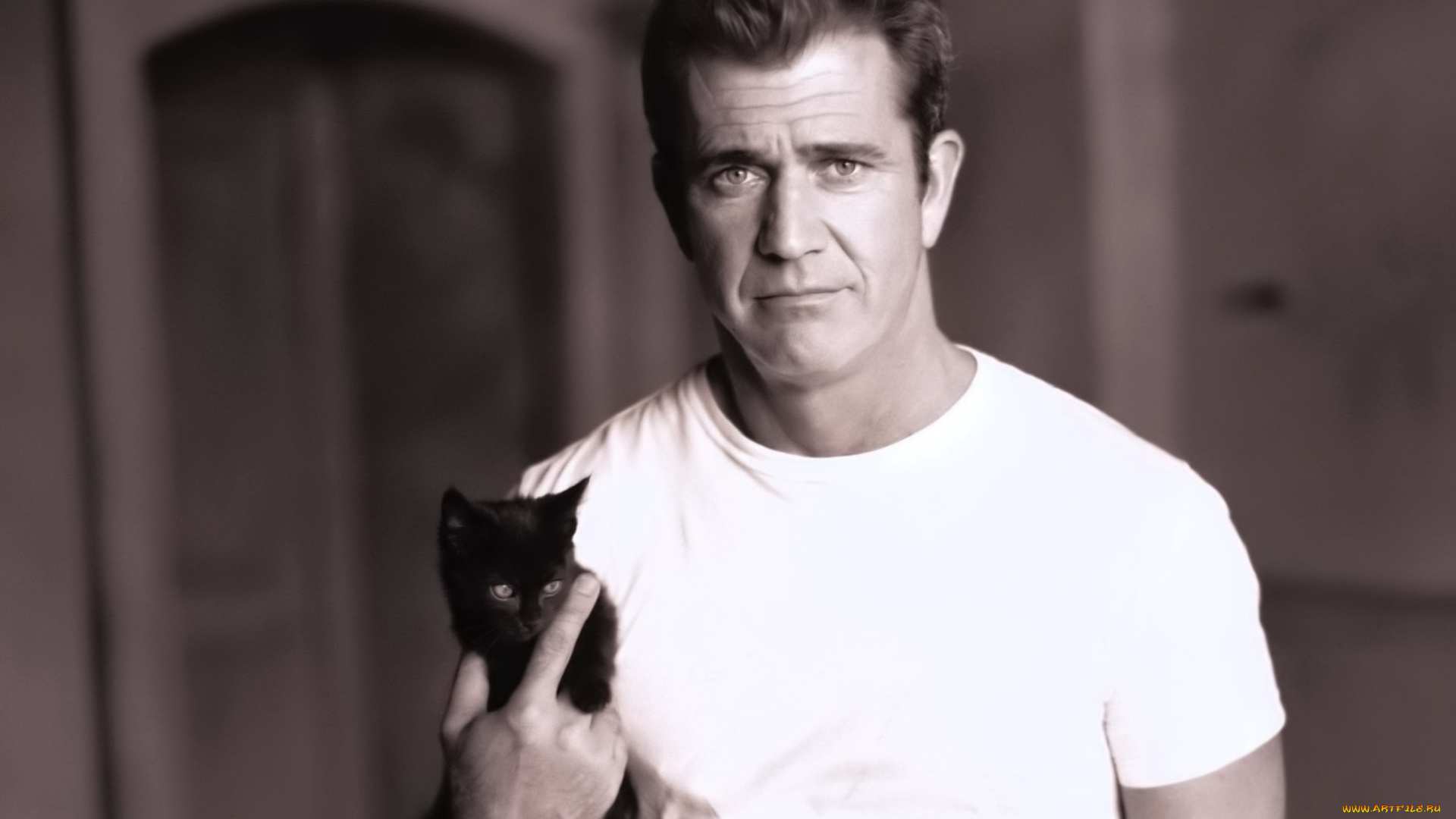 мужчины, mel, gibson, актер, футболка, котенок