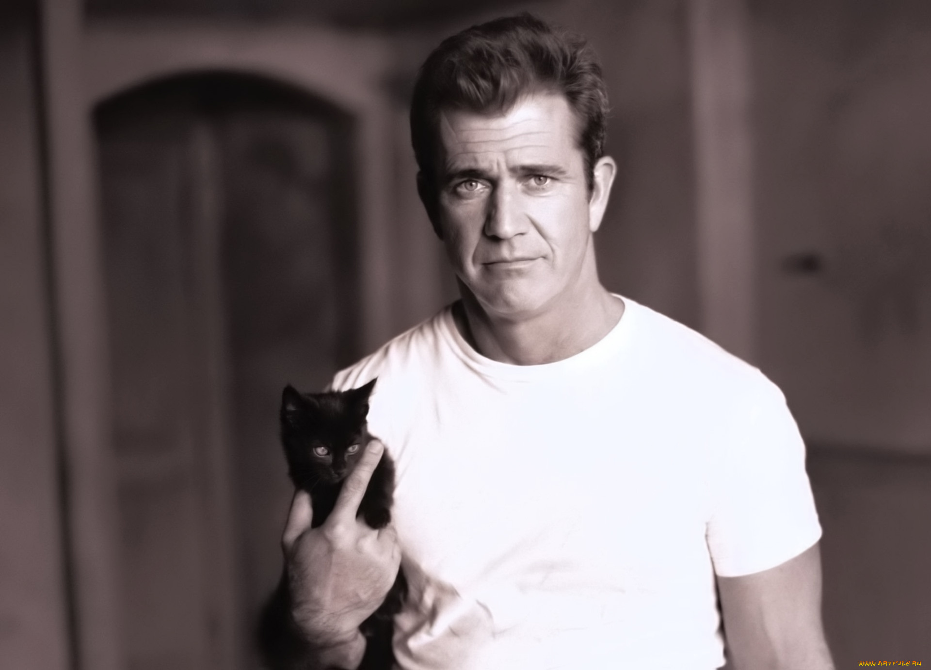 мужчины, mel, gibson, актер, футболка, котенок