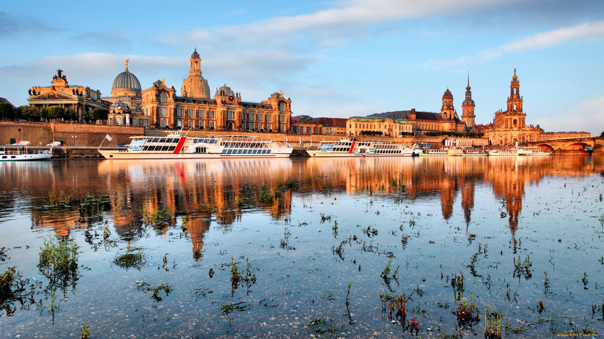 города, дрезден, , германия, здания, река, растения, корабли