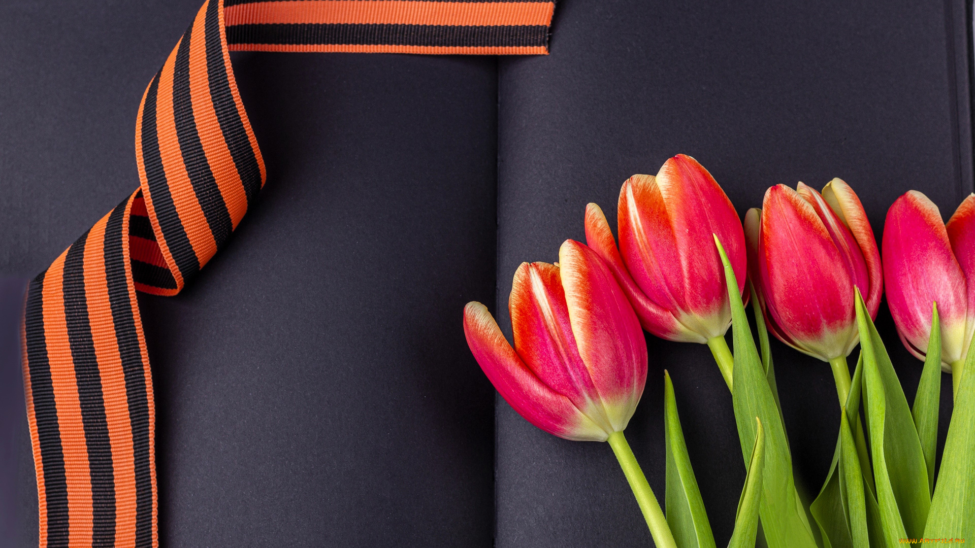 праздничные, день, победы, георгиевская, лента, тюльпаны