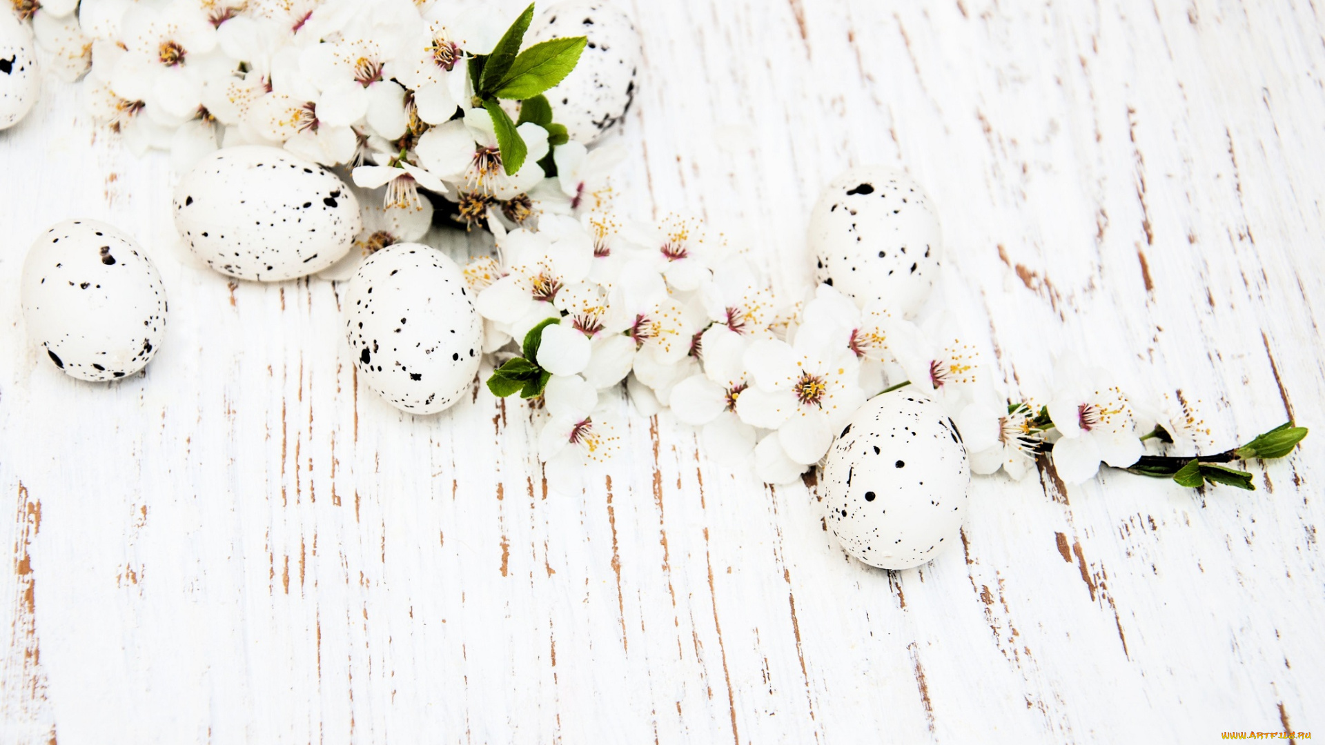 праздничные, пасха, яйца, ветка, цветение
