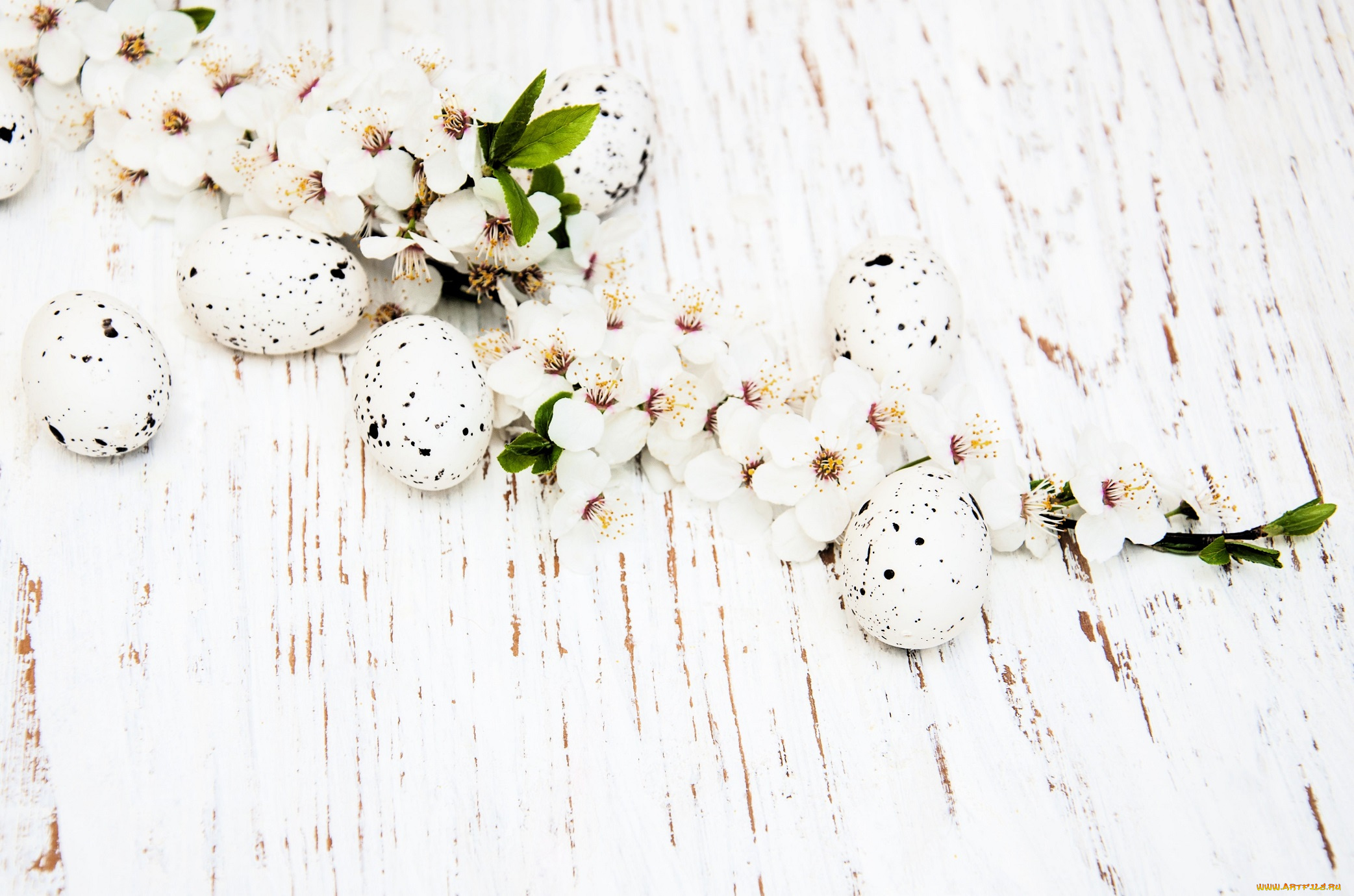 праздничные, пасха, яйца, ветка, цветение