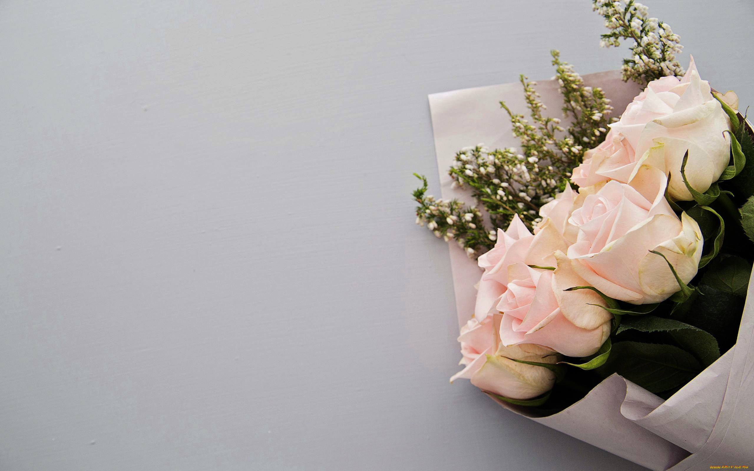 цветы, букеты, , композиции, розы, бутоны, букет, упаковка