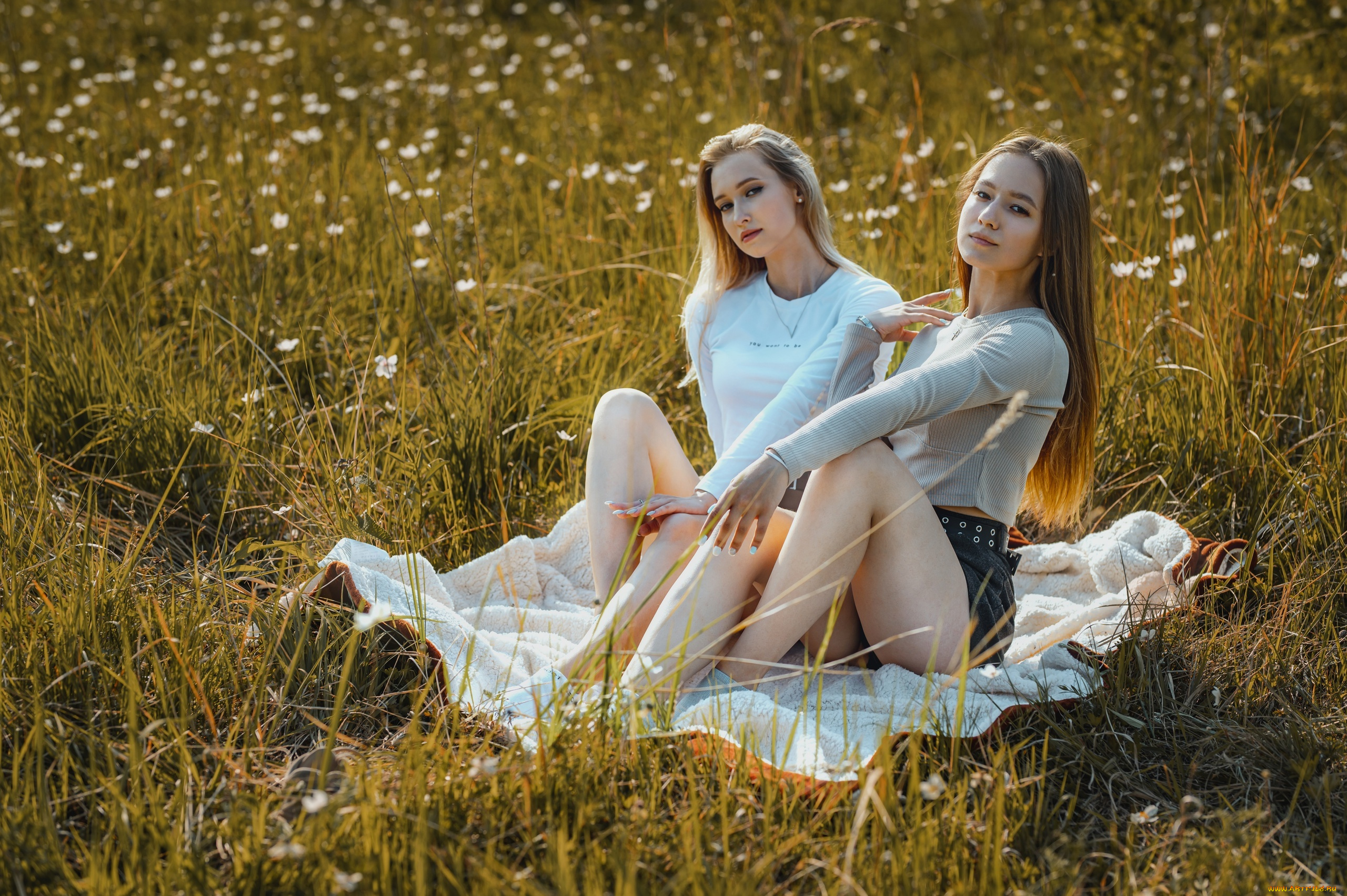 девушки, -, группа, девушек, позируют