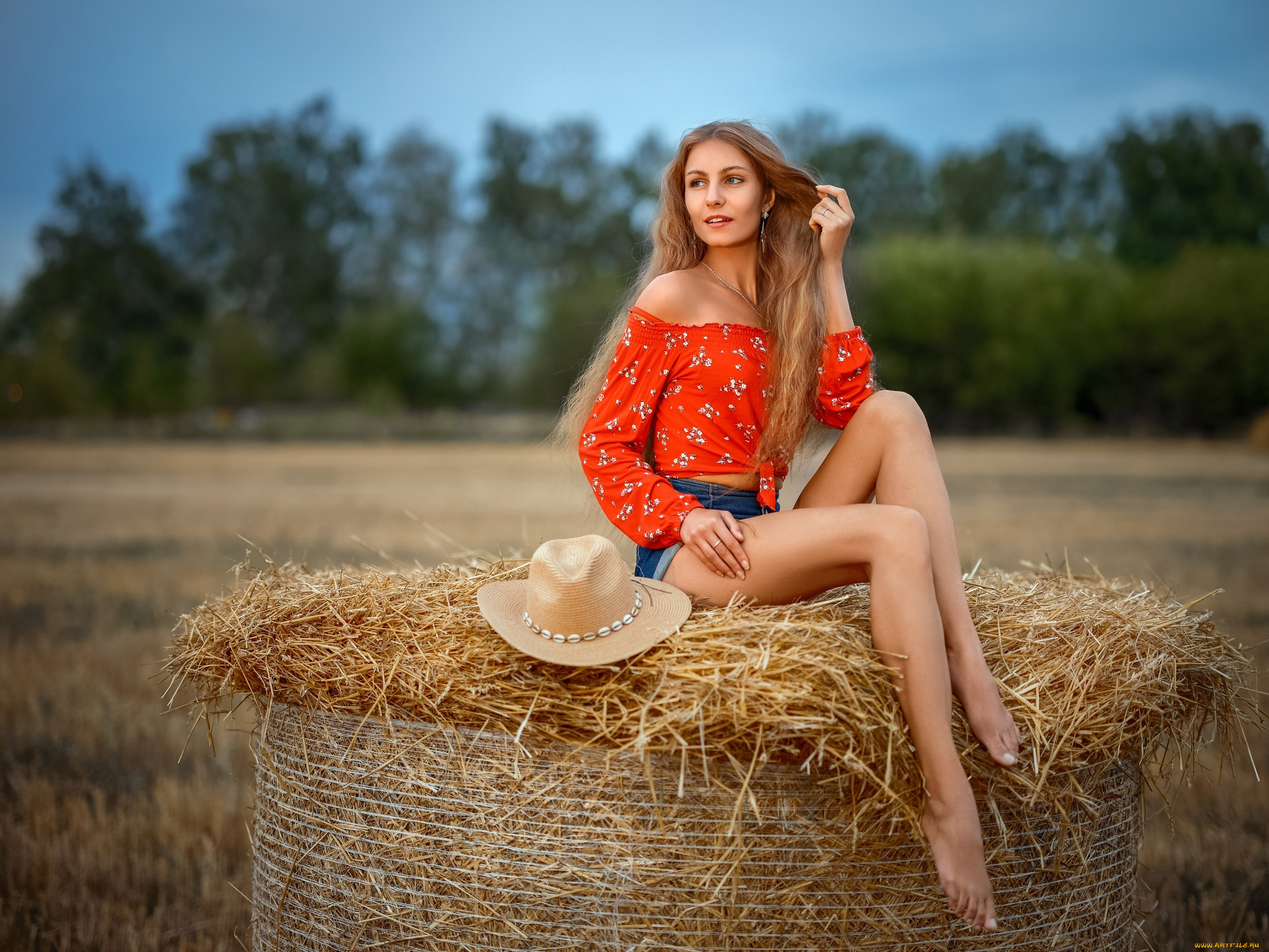 девушки, -, блондинки, , светловолосые, девушка, позирует, роман, рыбинский