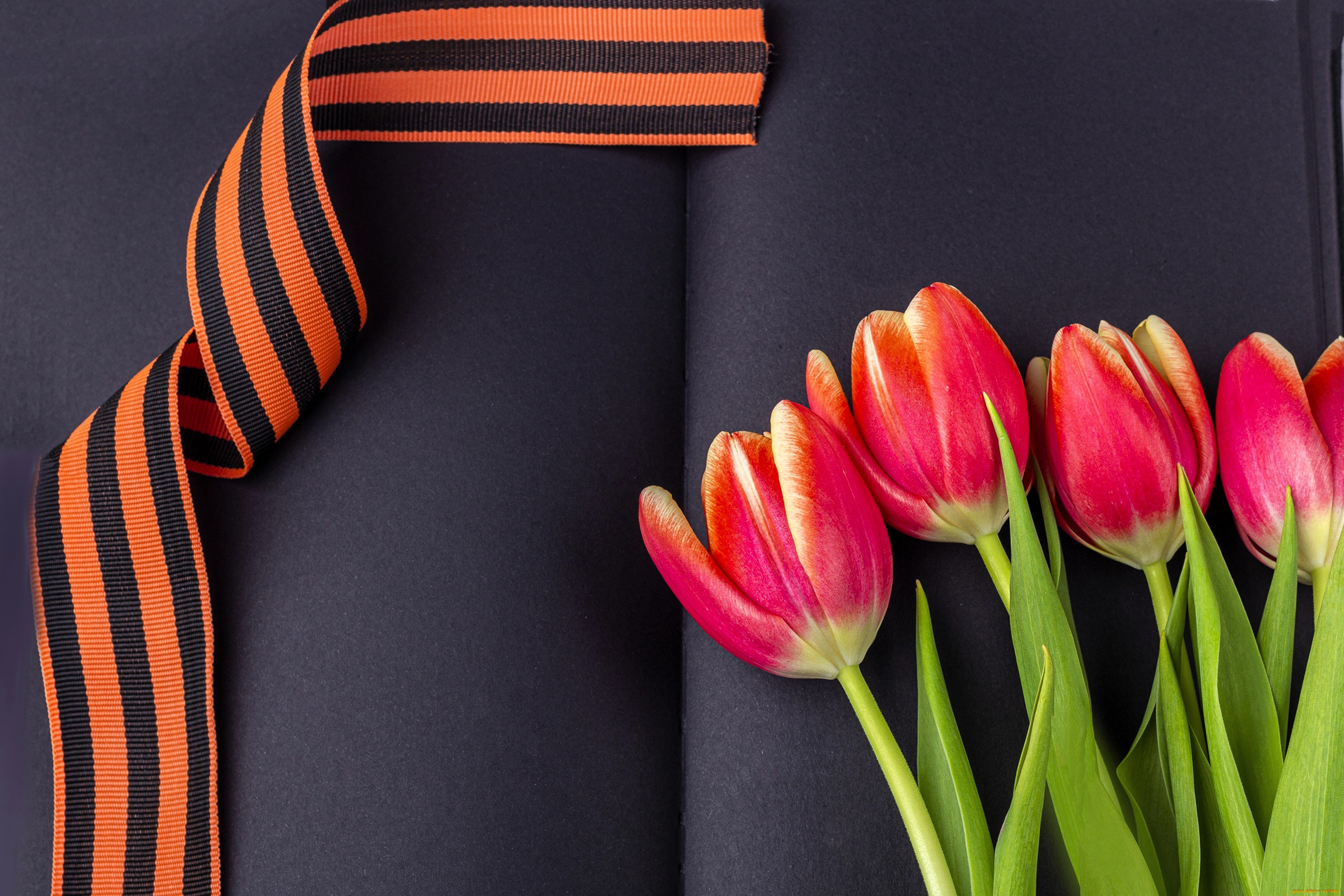 праздничные, день, победы, георгиевская, лента, тюльпаны