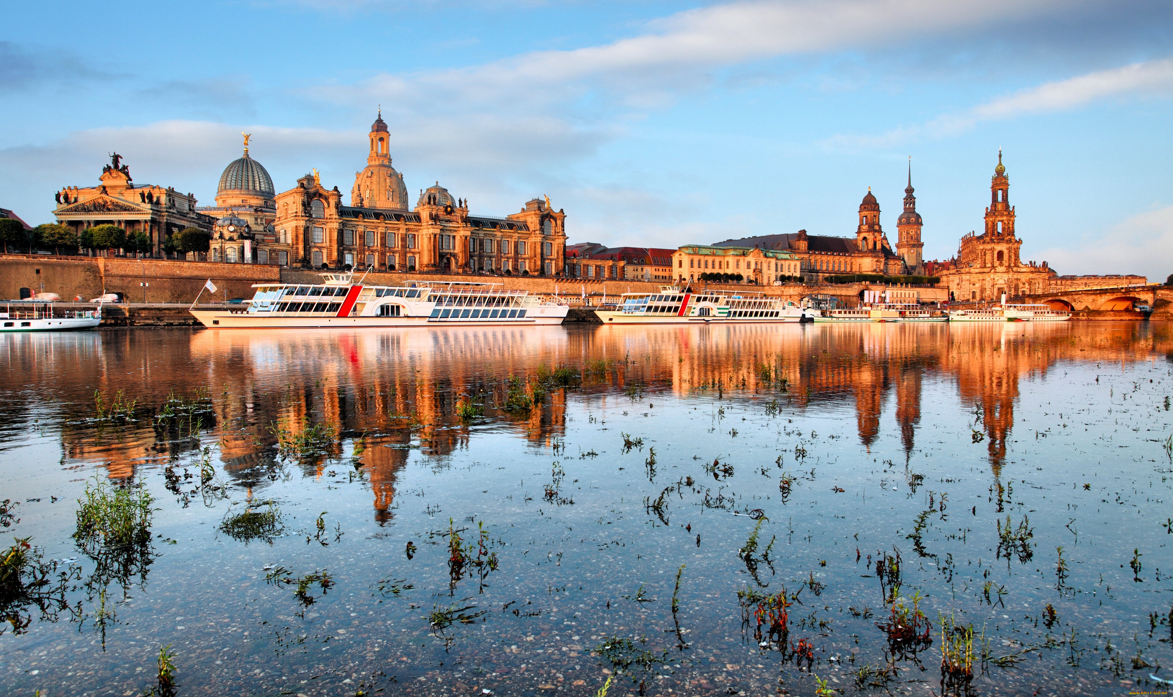 города, дрезден, , германия, здания, река, растения, корабли