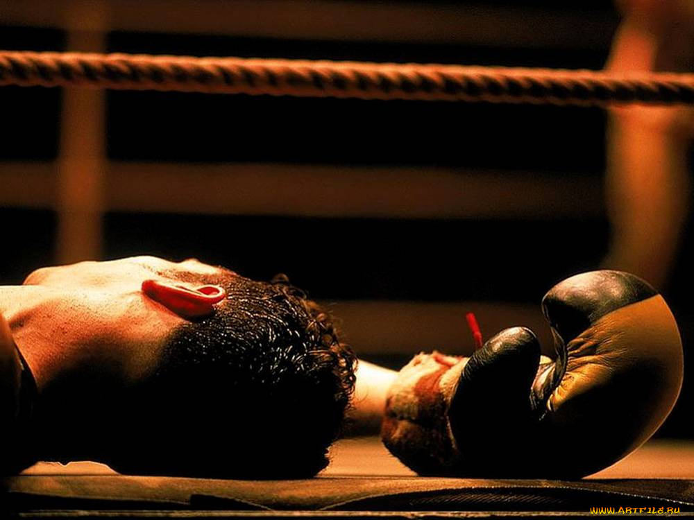 спорт, бокс