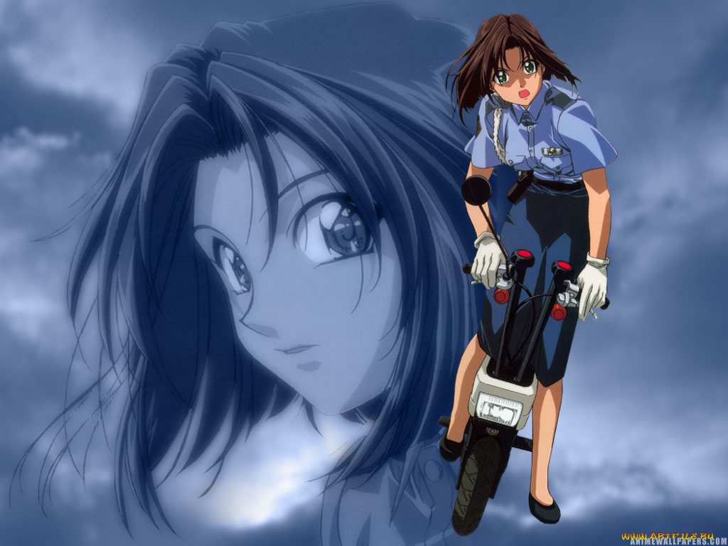 аниме, you`re, under, arrest