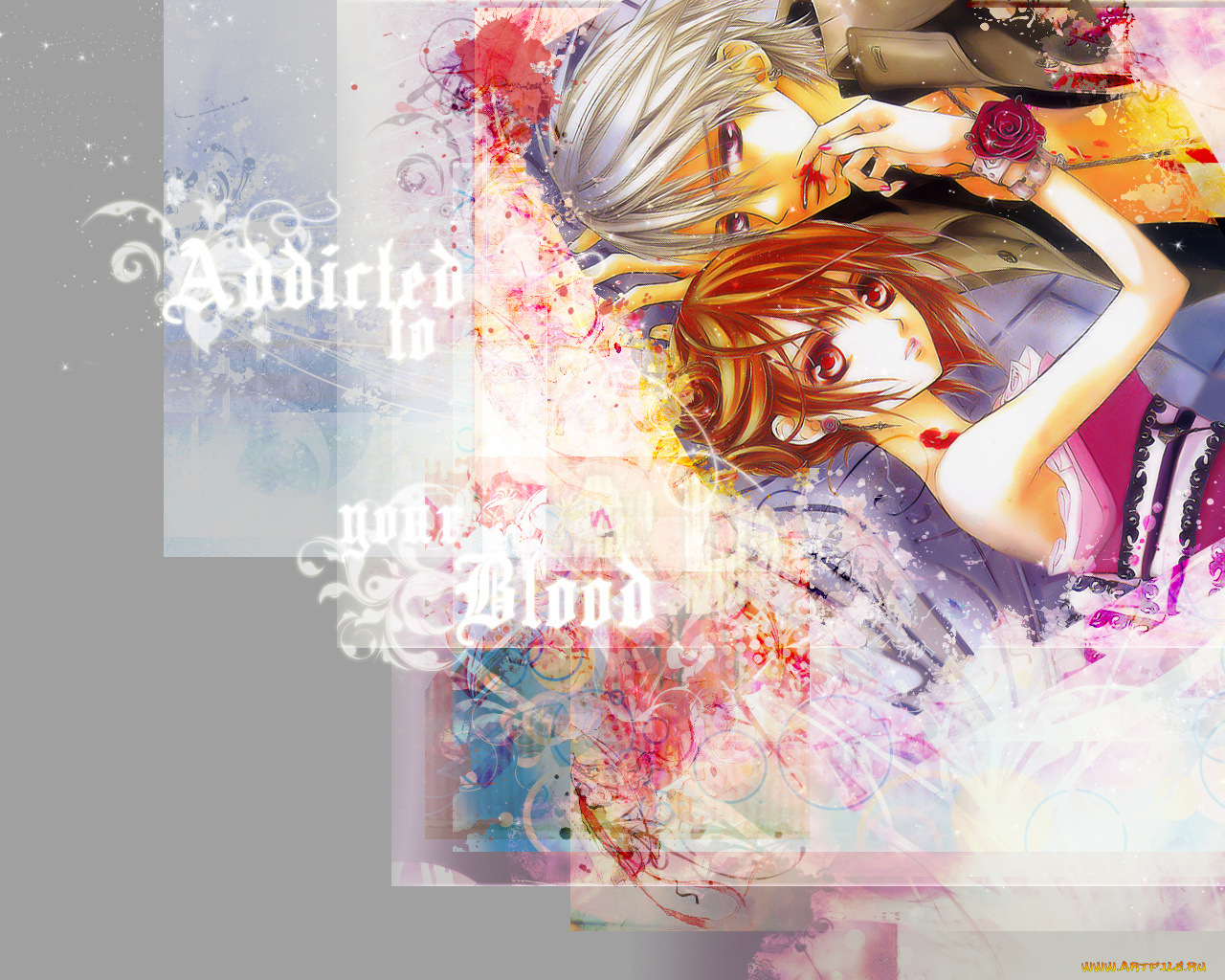 аниме, vampire, knight