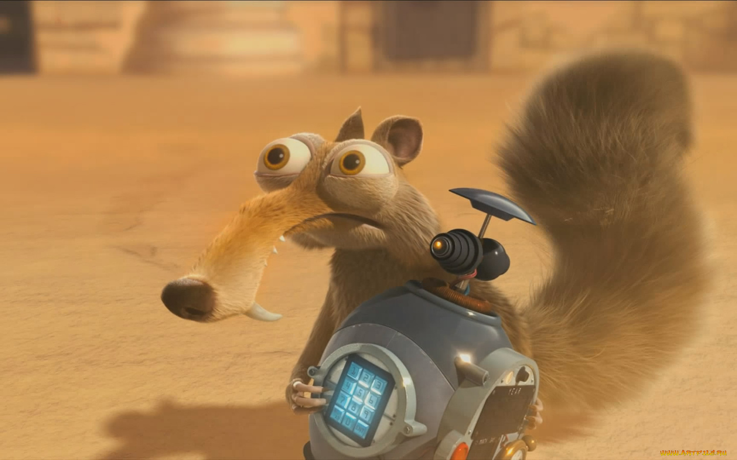 no, time, for, nuts, мультфильмы