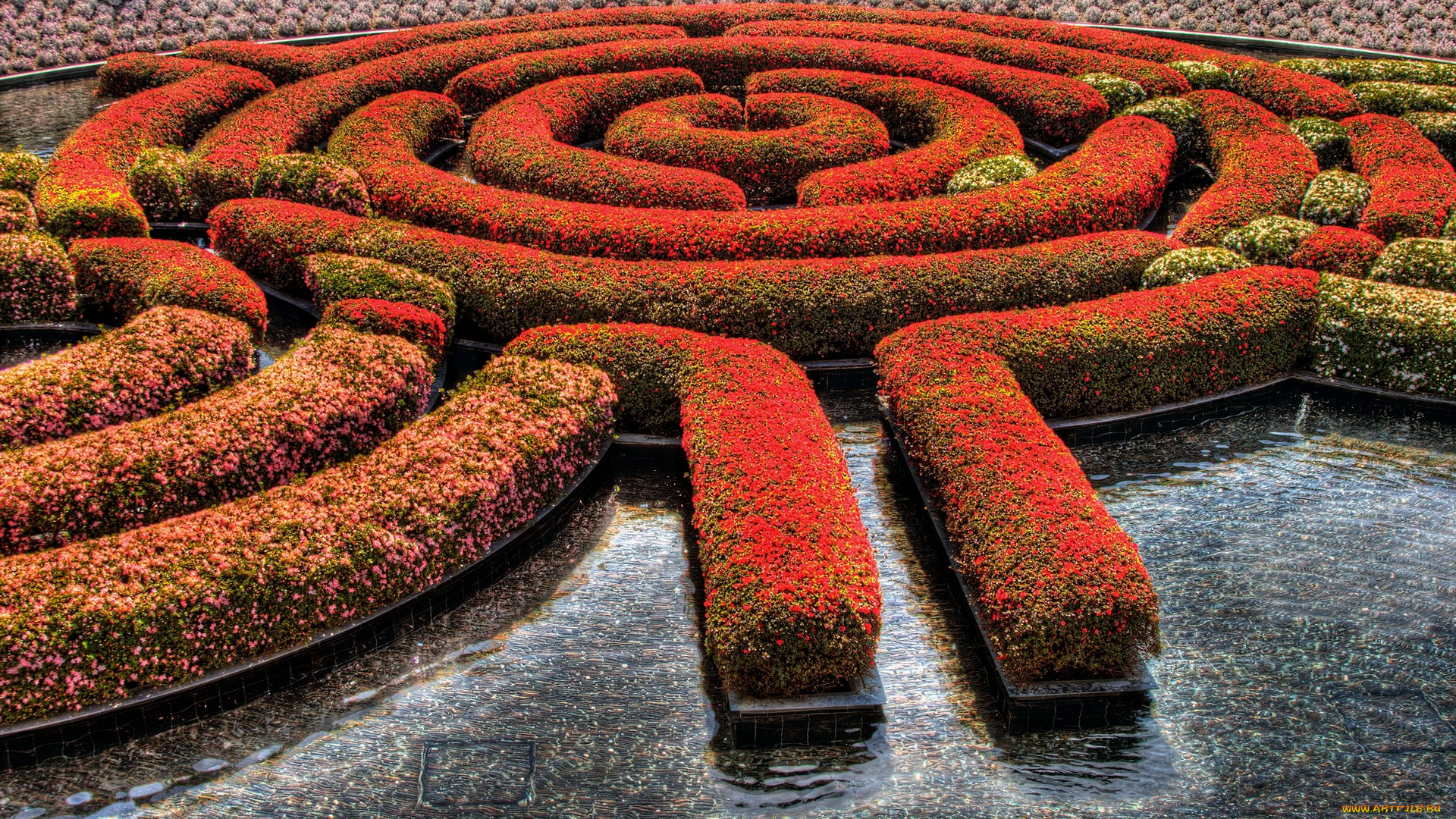 природа, парк