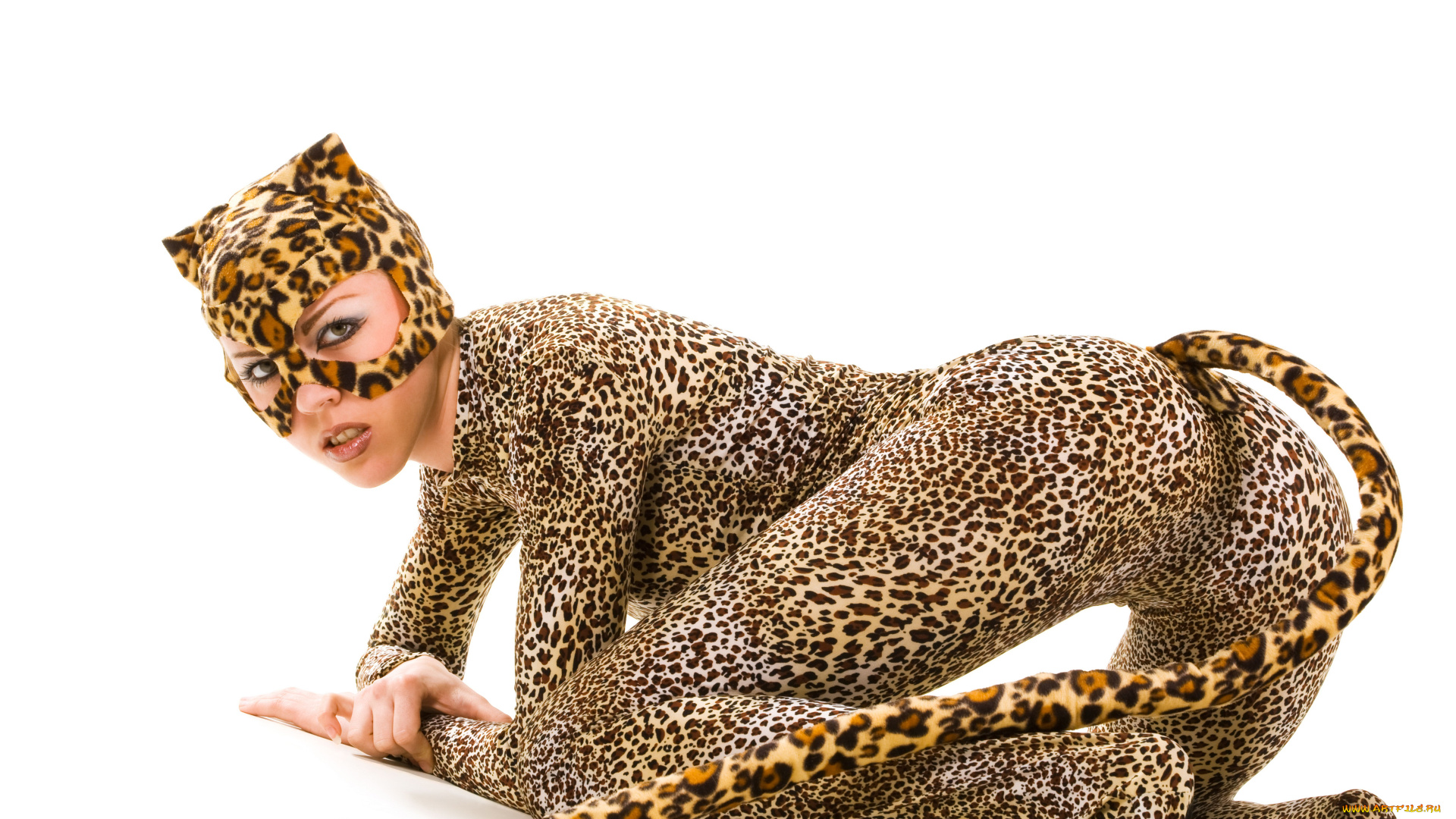 -Unsort, Креатив, девушки, unsort, креатив, костюм, кошки