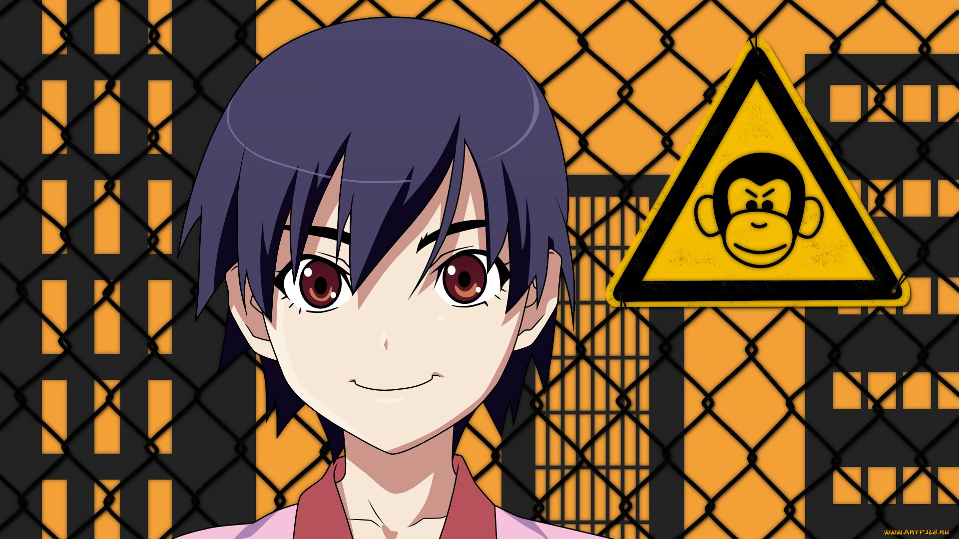 bakemonogatari, аниме, kanbaru, suruga, девушка, форма, сетка, дом, обезьяна, знак