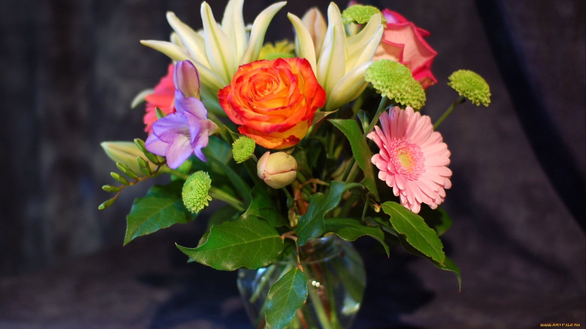 цветы, букеты, композиции, роза, лилии, гербера, фрезия