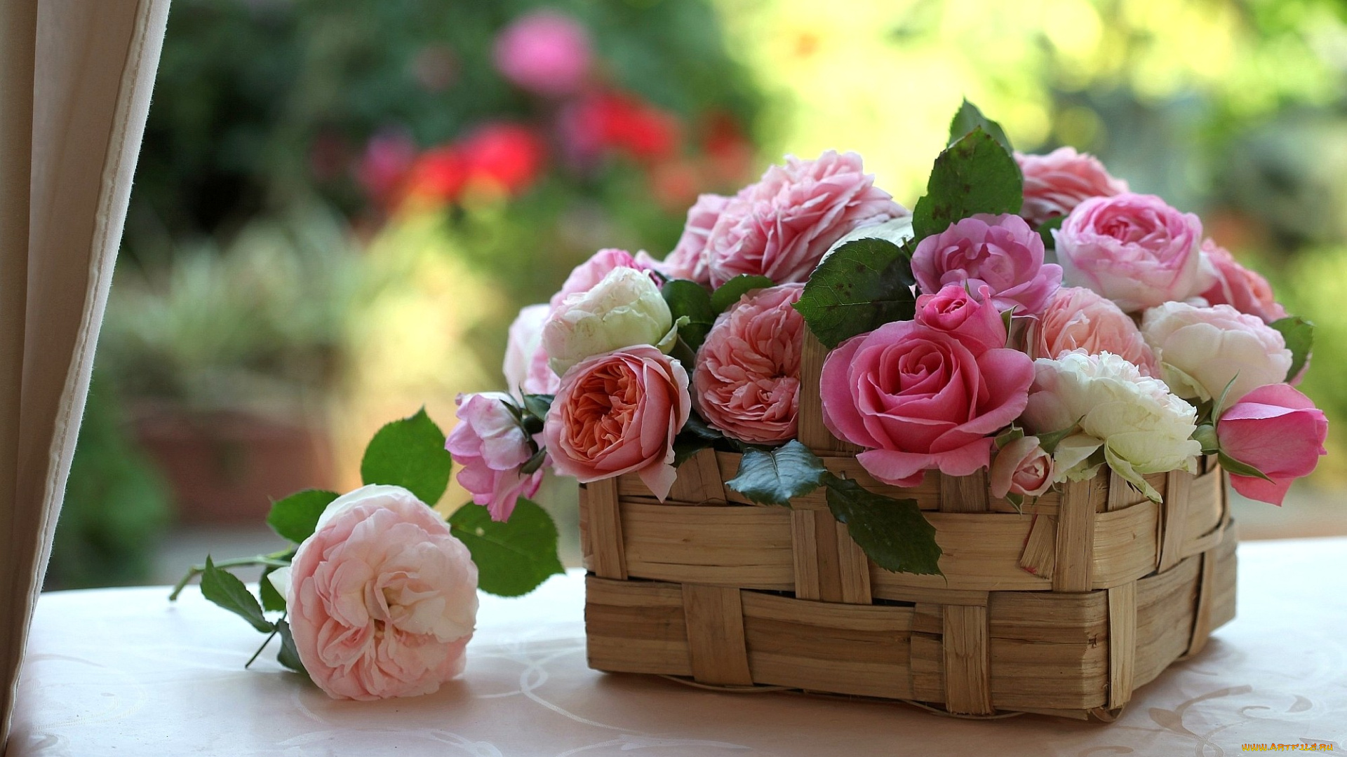цветы, розы, корзинка