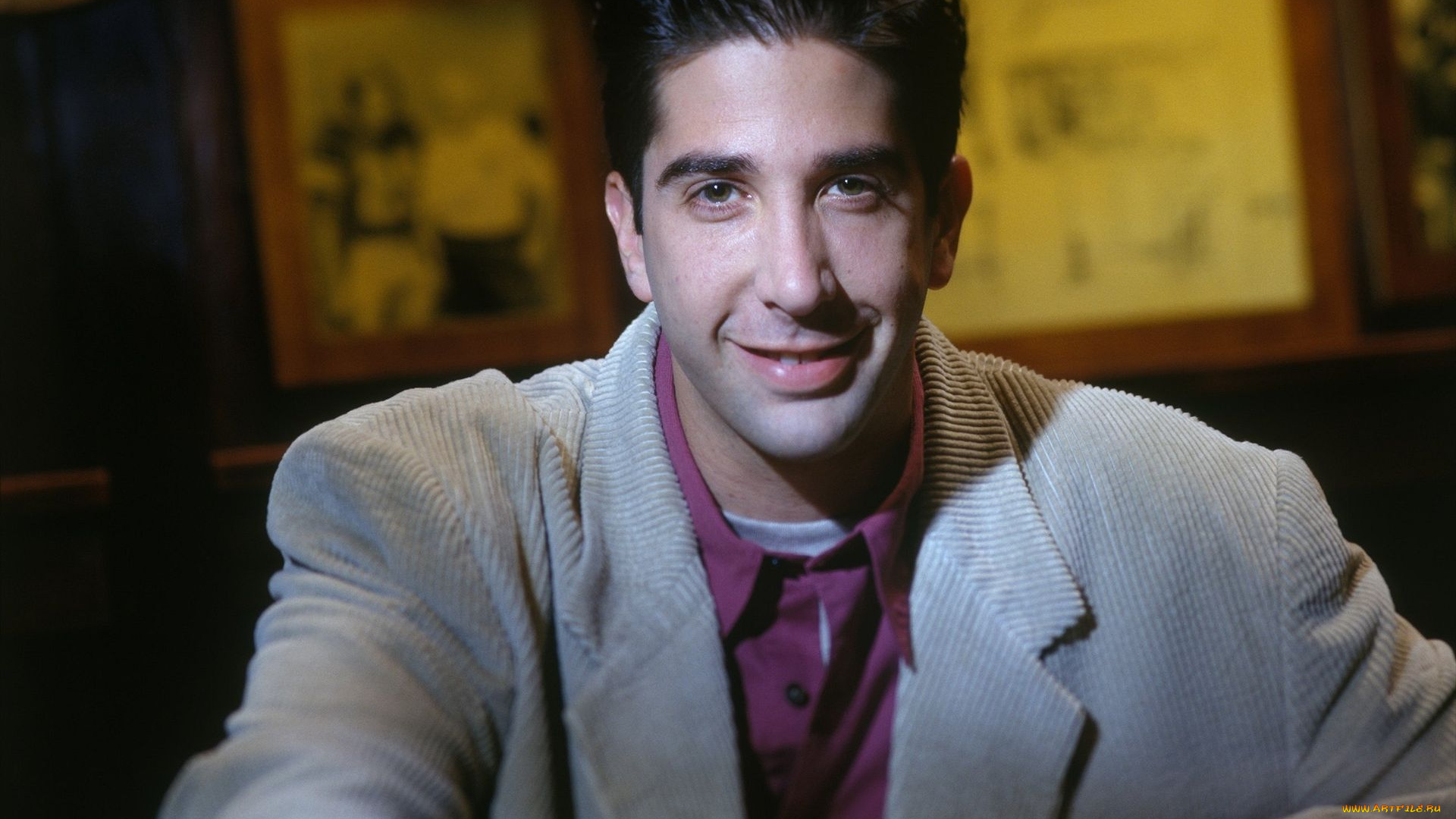 david, schwimmer, мужчины, актер