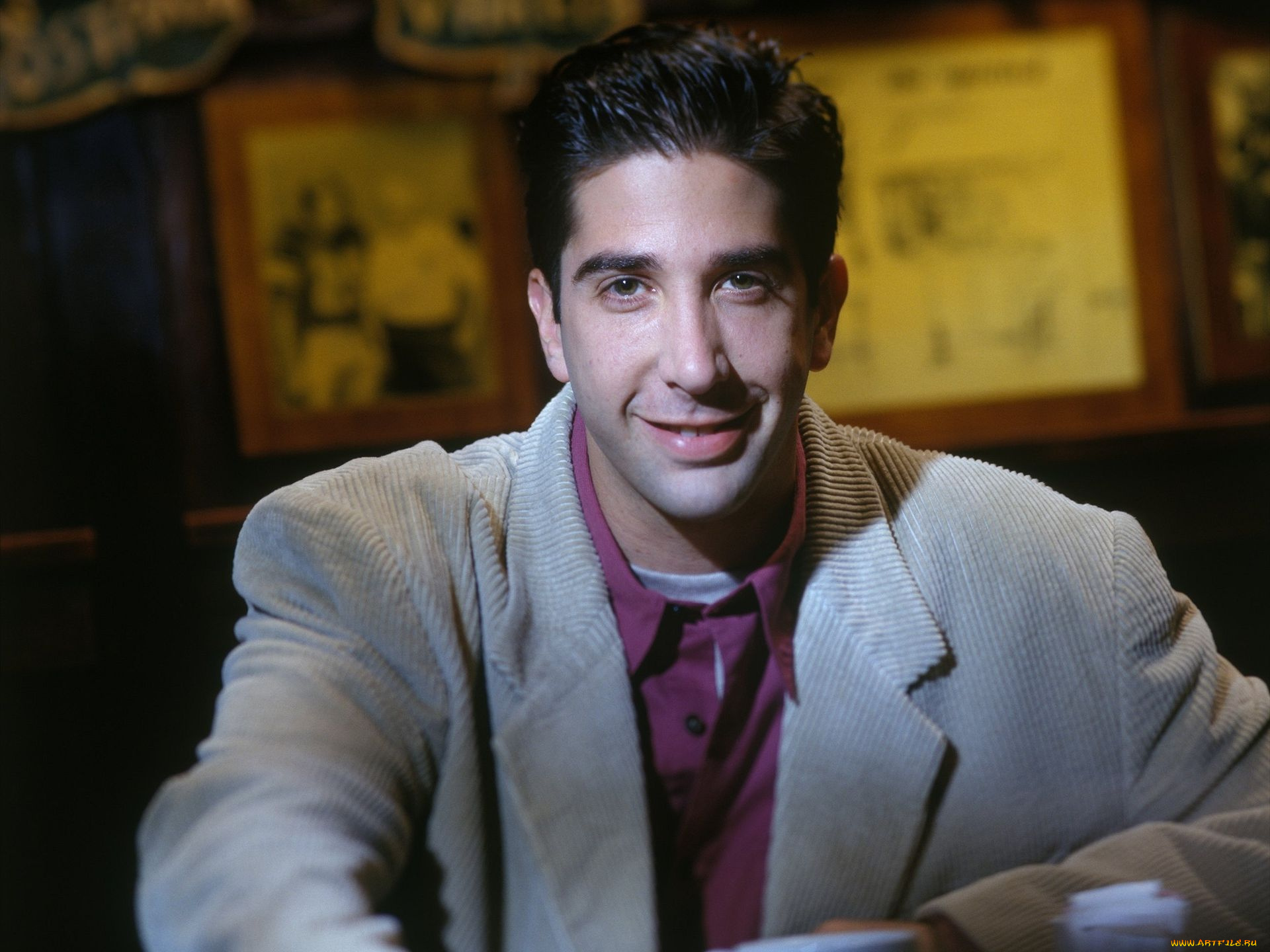david, schwimmer, мужчины, актер