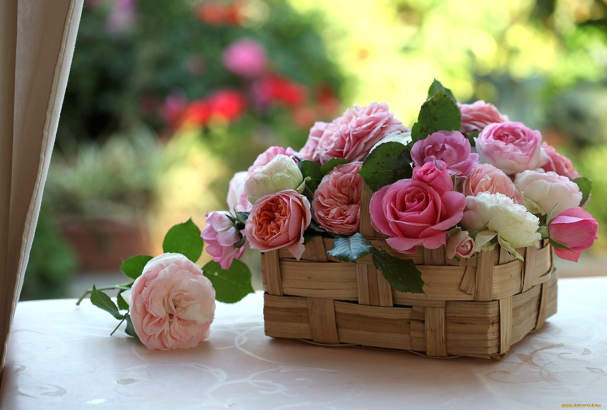 цветы, розы, корзинка