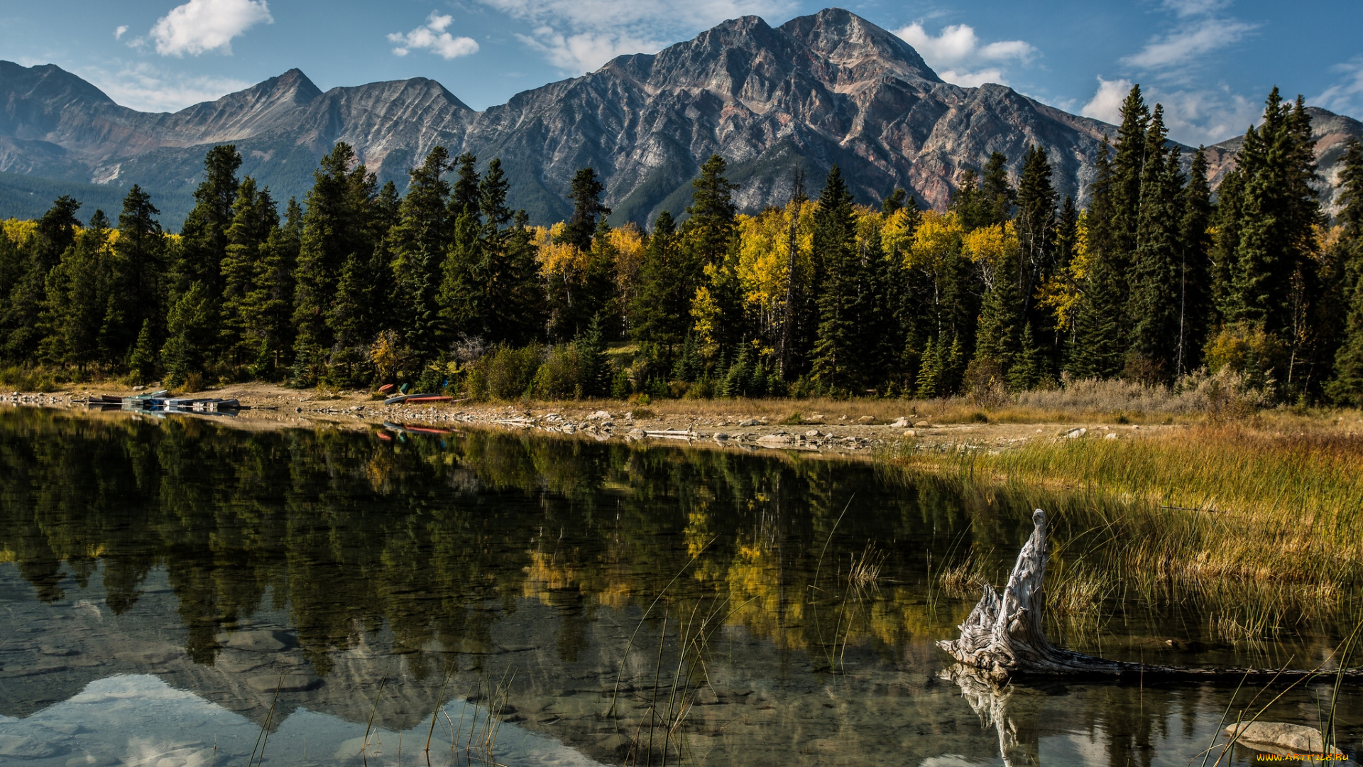 alberta, canada, природа, реки, озера, альберта, канада, горы, озеро, деревья, отражение, пейзаж