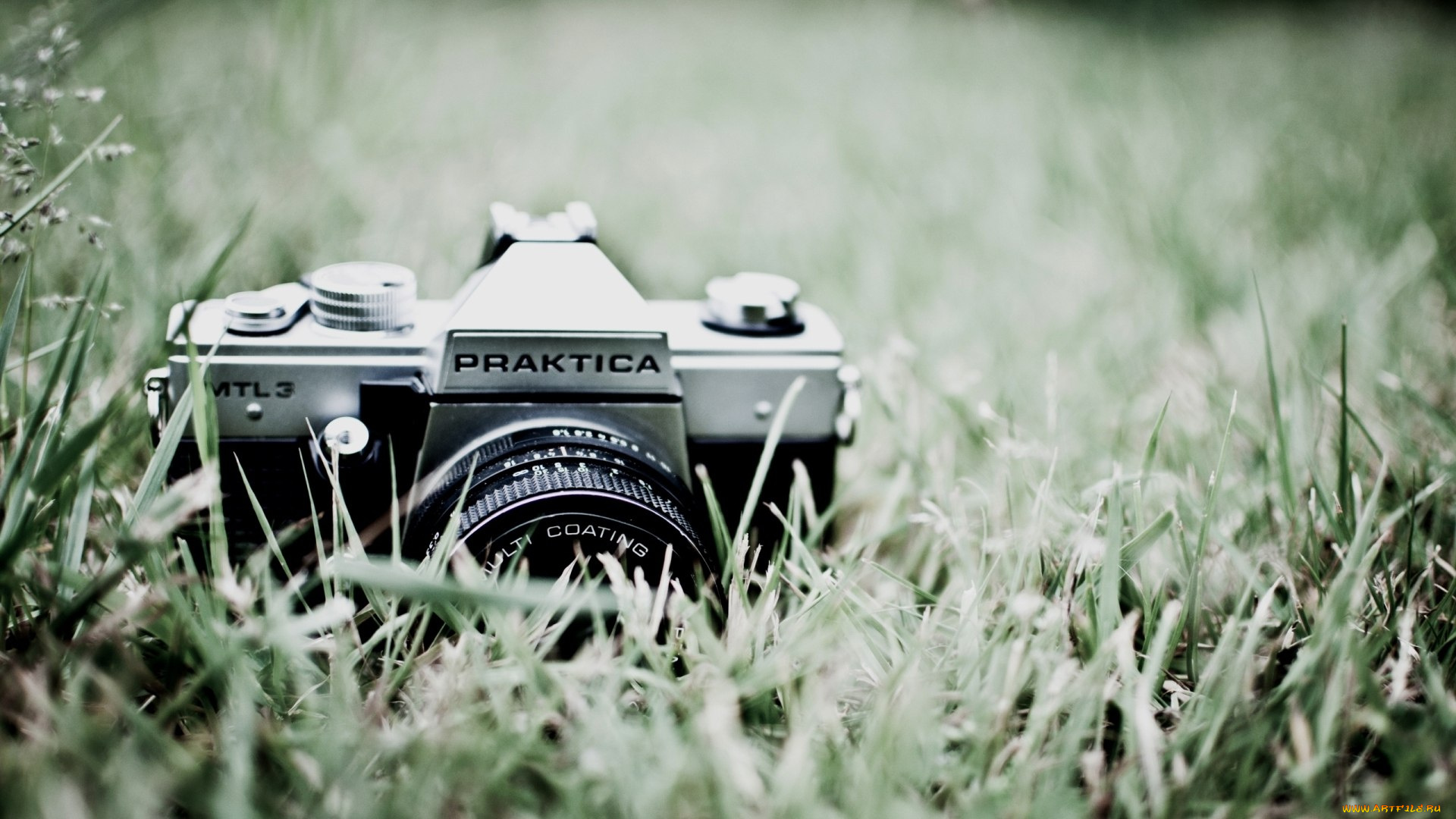 бренды, praktica