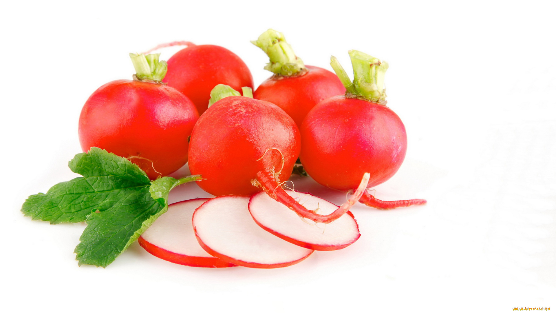 еда, редис, репа, редька