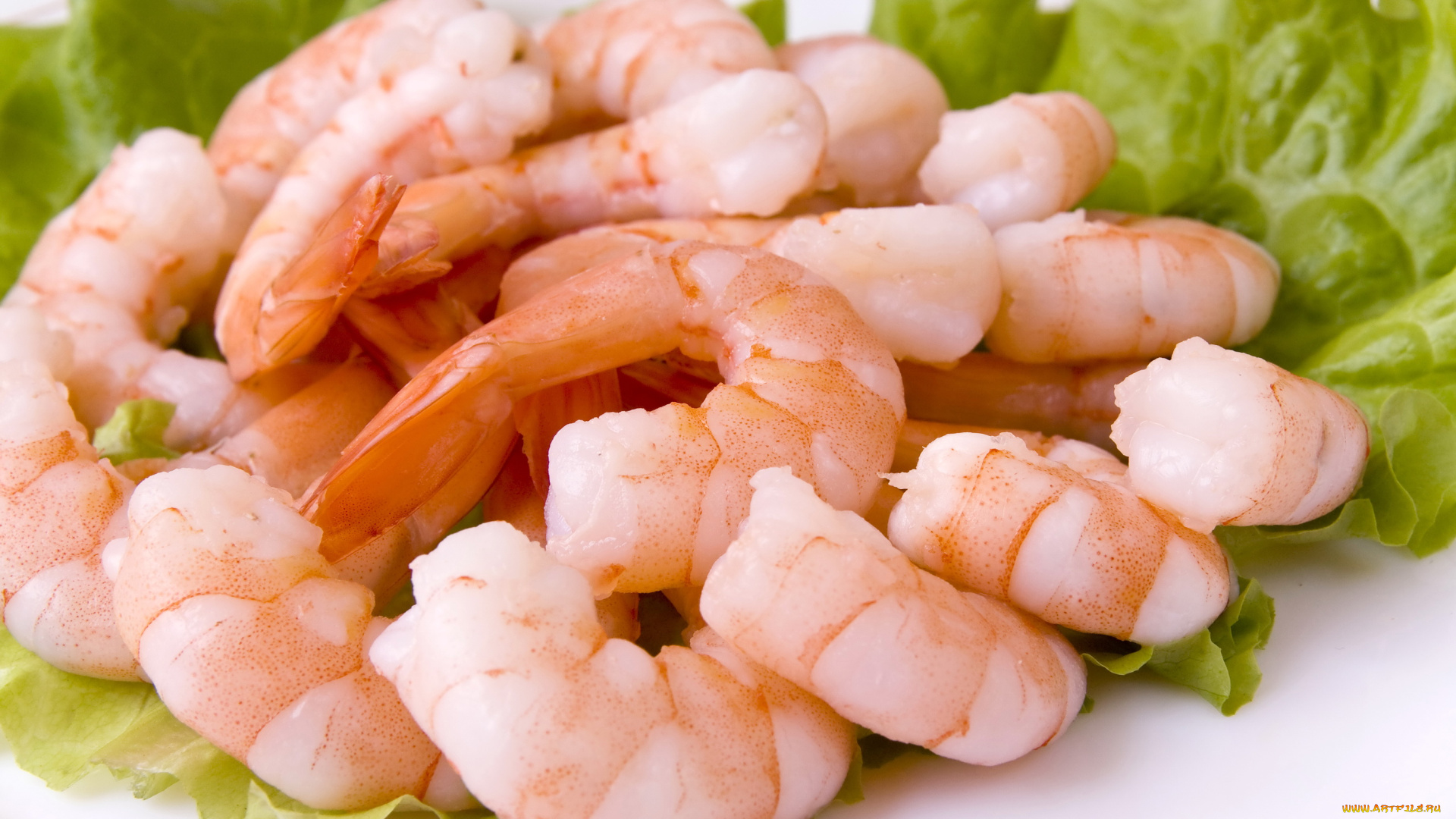 еда, рыба, морепродукты, суши, роллы, салат, креветки