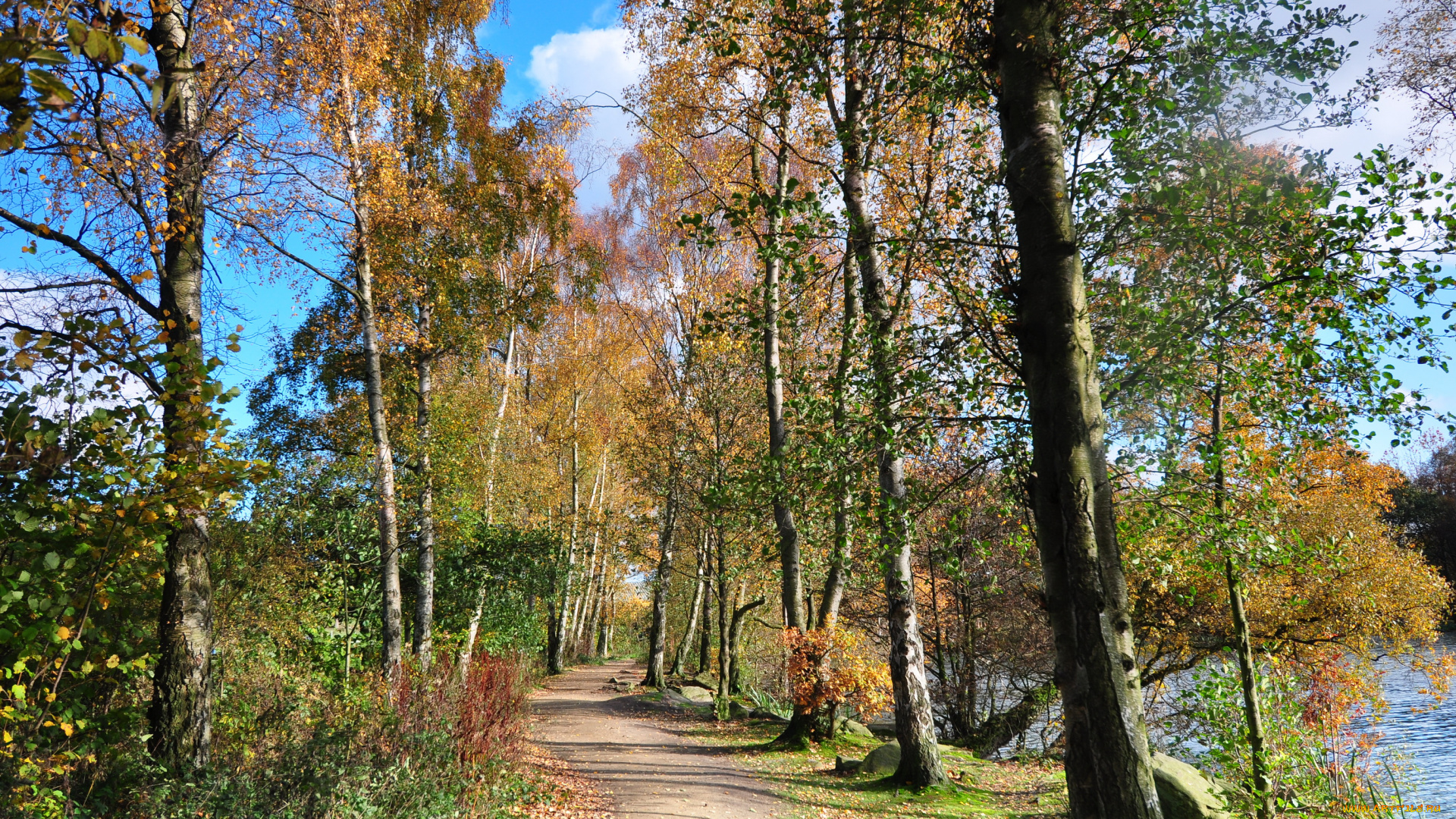 england, природа, дороги, тропинка, деревья, река