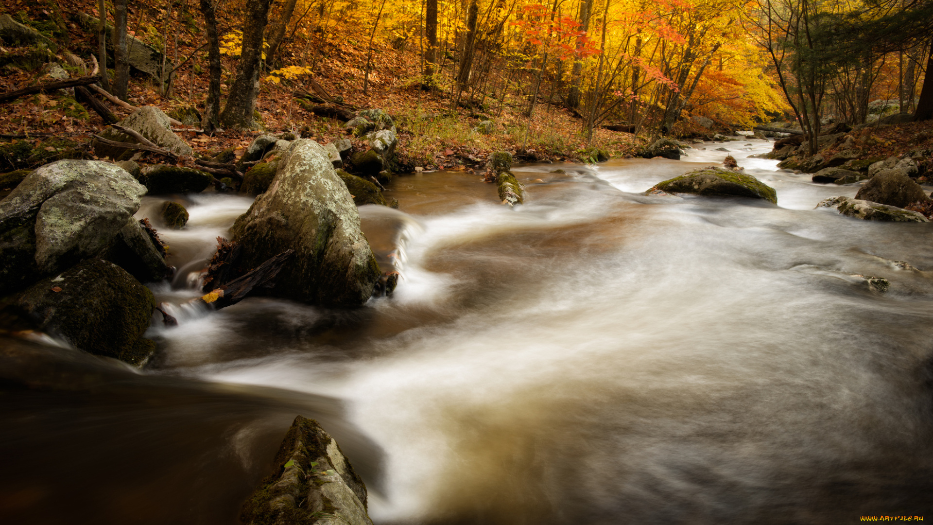 macedonia, brook, state, park, kent, connecticut, природа, реки, озера, река, осень, камни, лес