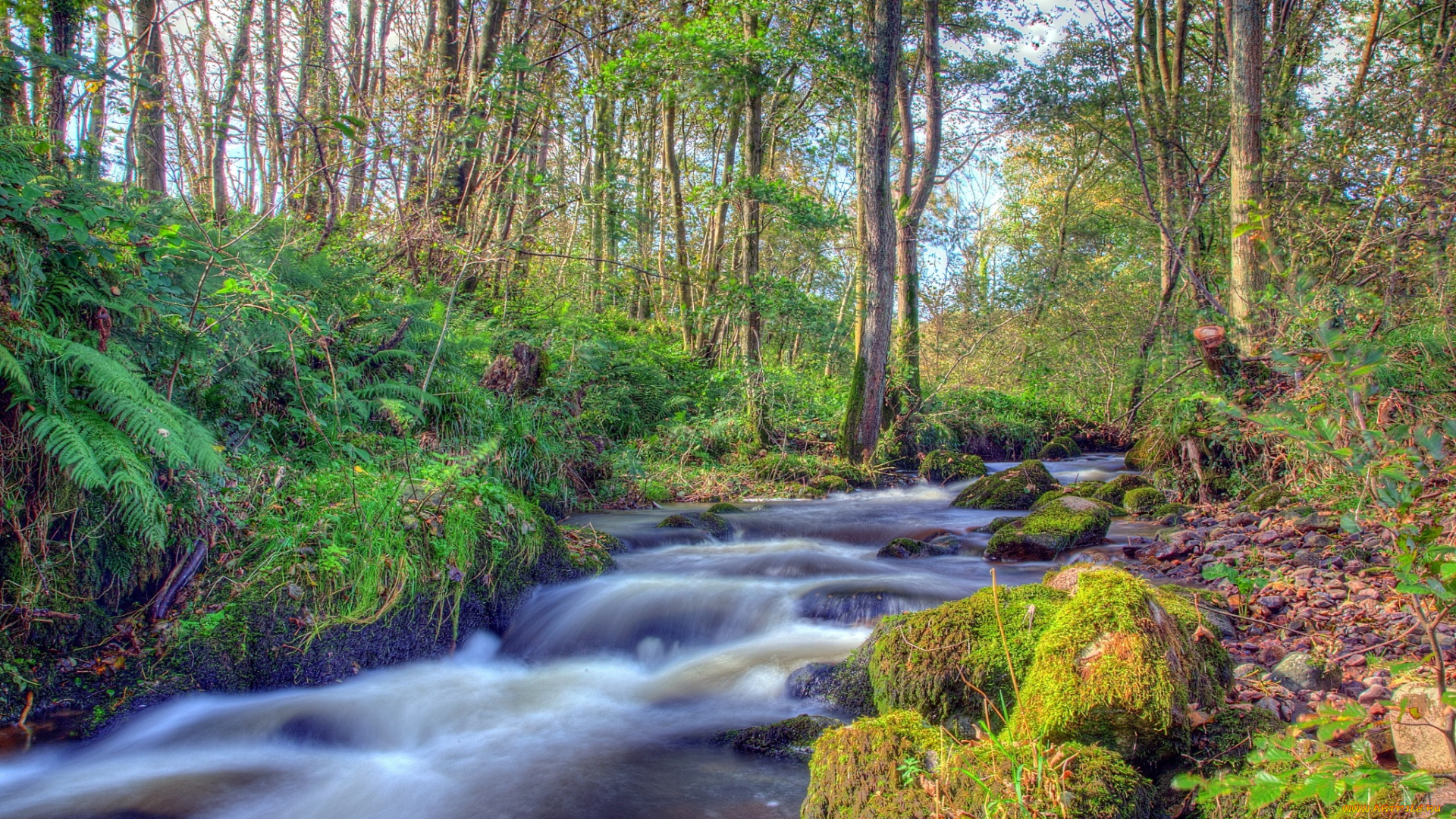 природа, реки, озера, лес, река, камни, пейзаж