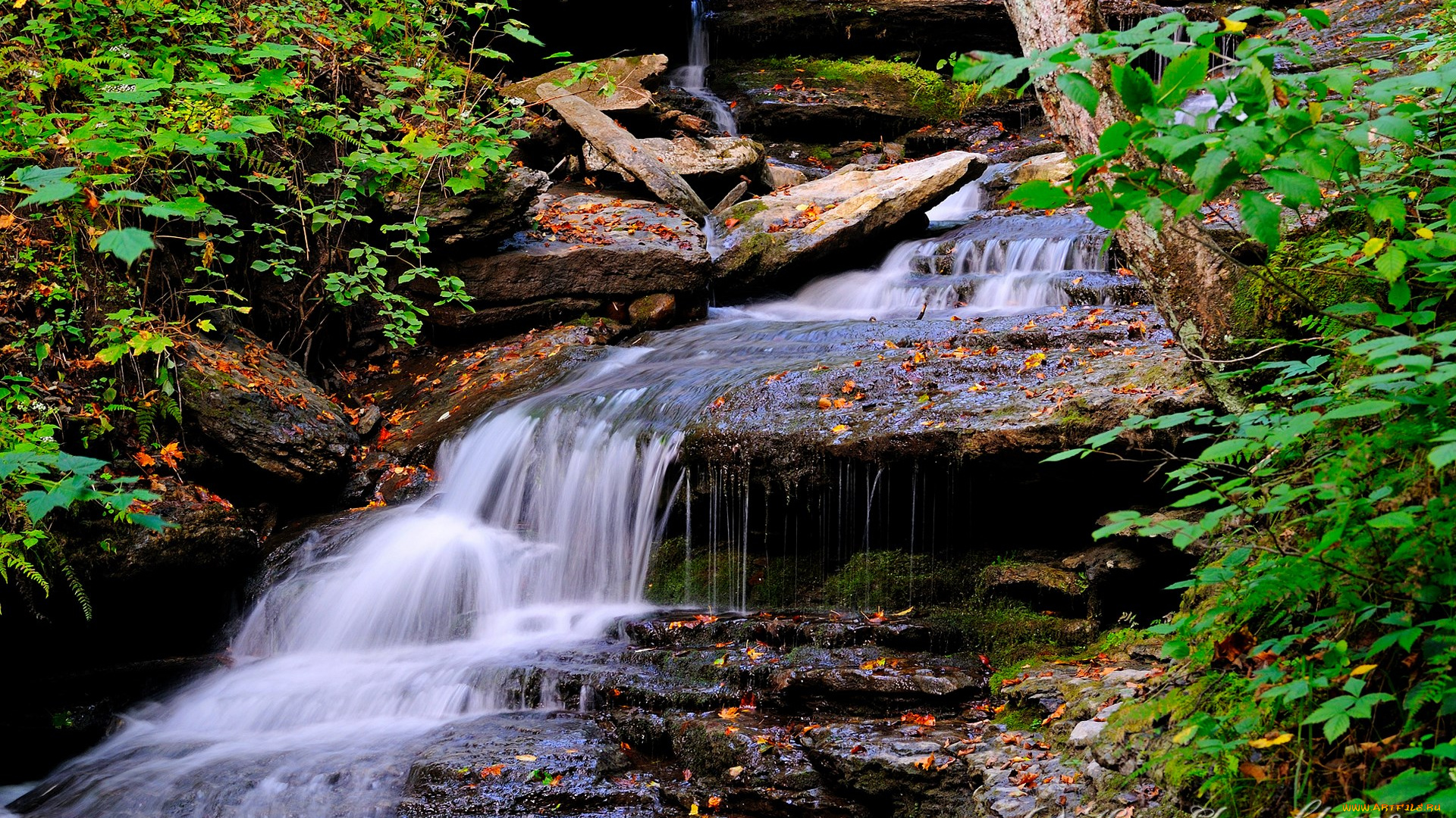 водопад, природа, водопады, скалы, кусты