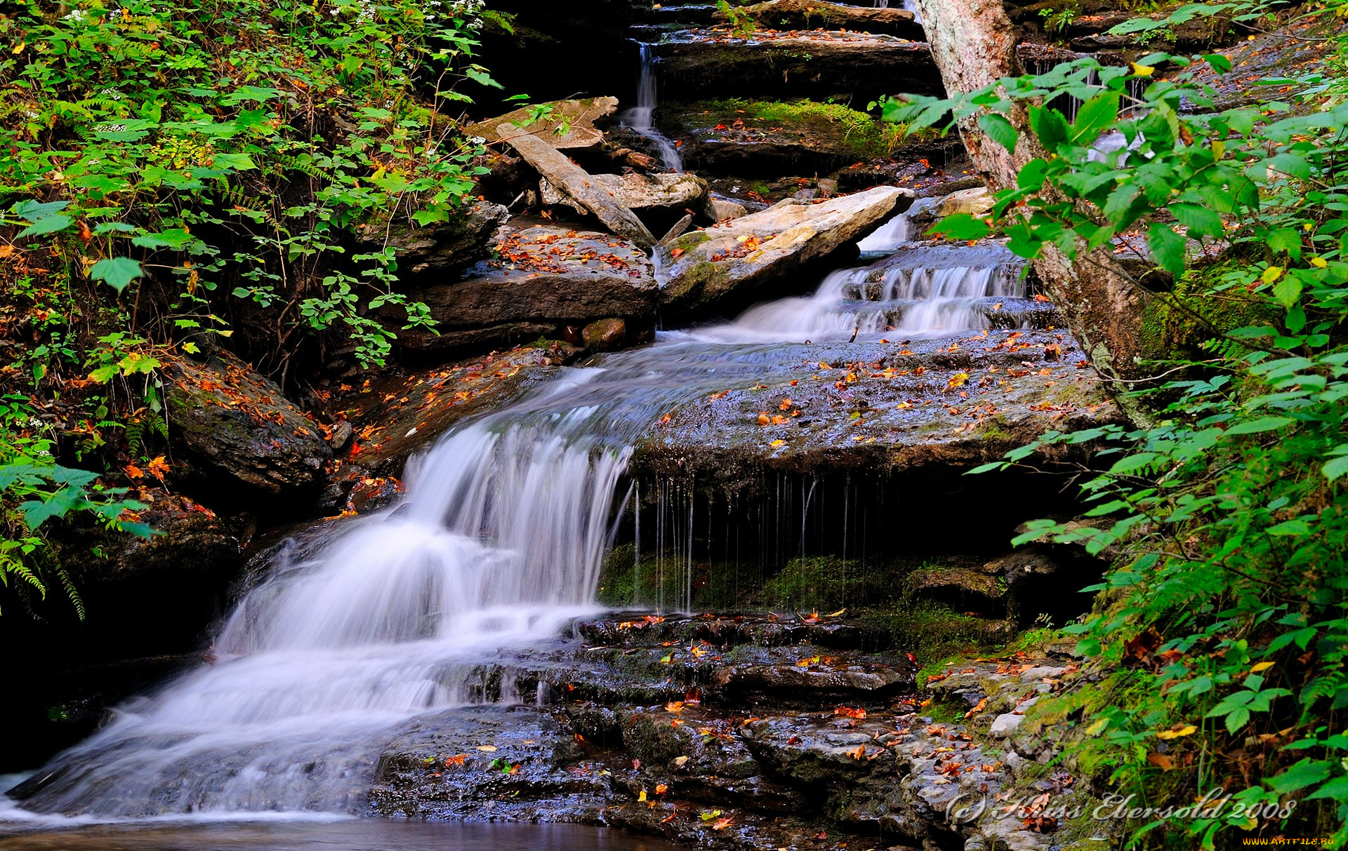 водопад, природа, водопады, скалы, кусты