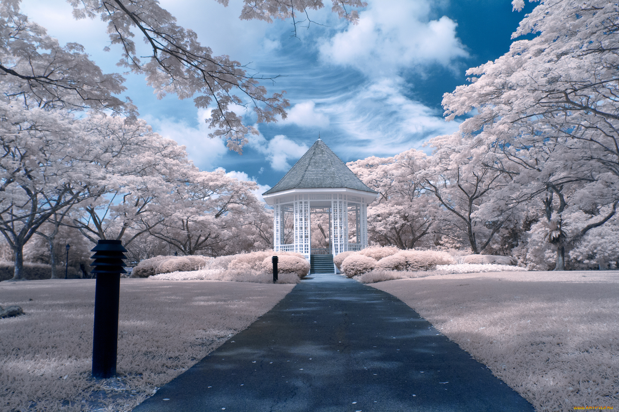 singapore, природа, парк, деревья, беседка, дорожка, сингапур