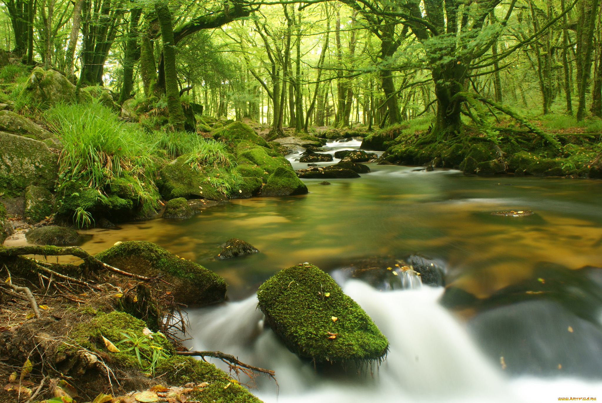 природа, реки, озера, вода, камни, мох, деревья