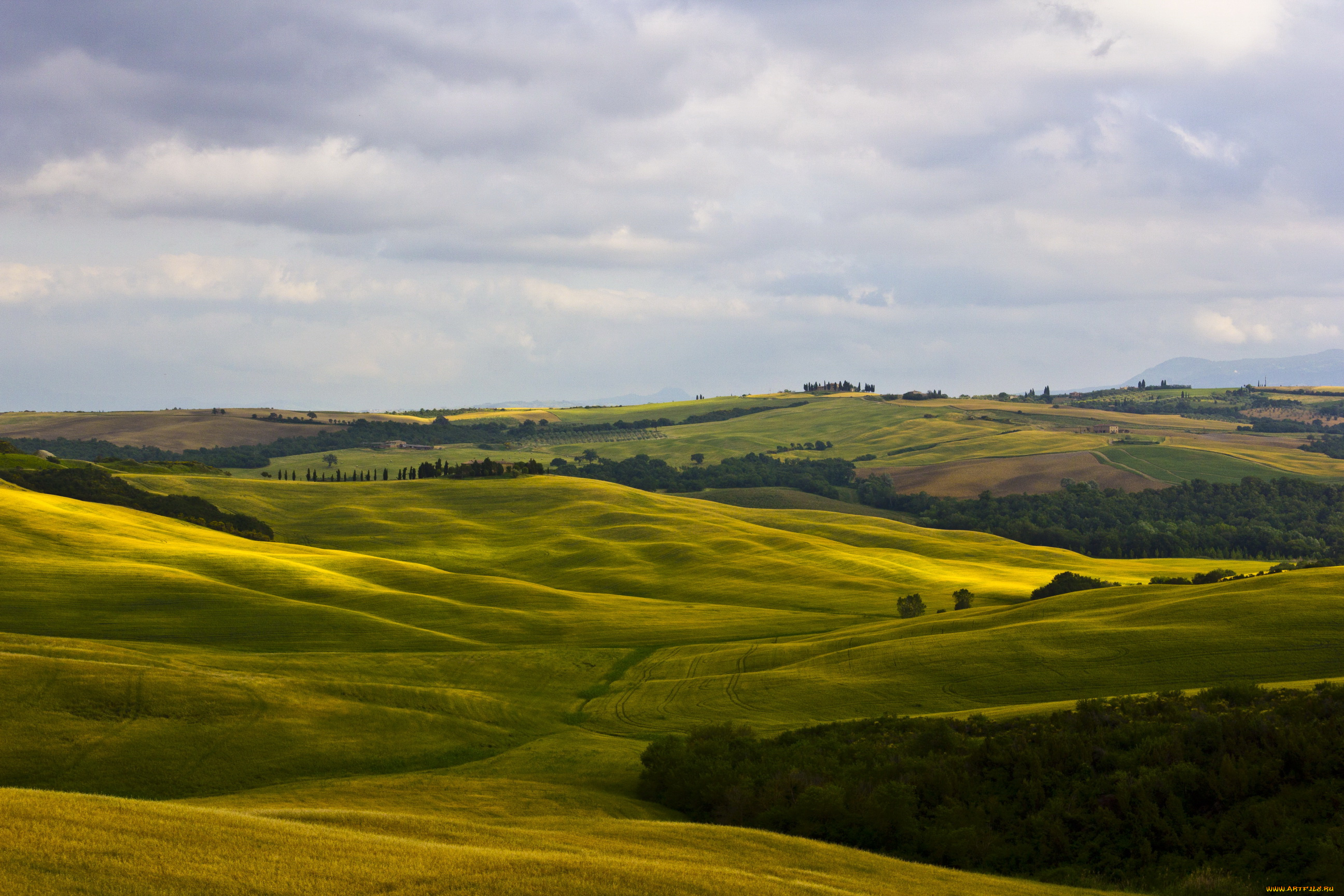 montalcino, tuscany, италия, природа, поля